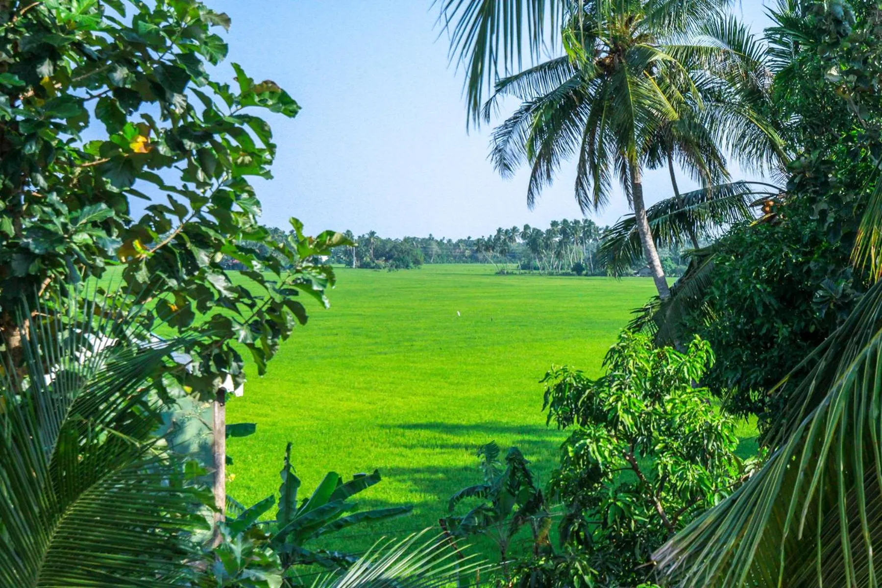 Hotel Nilketha Yala Tissamaharama