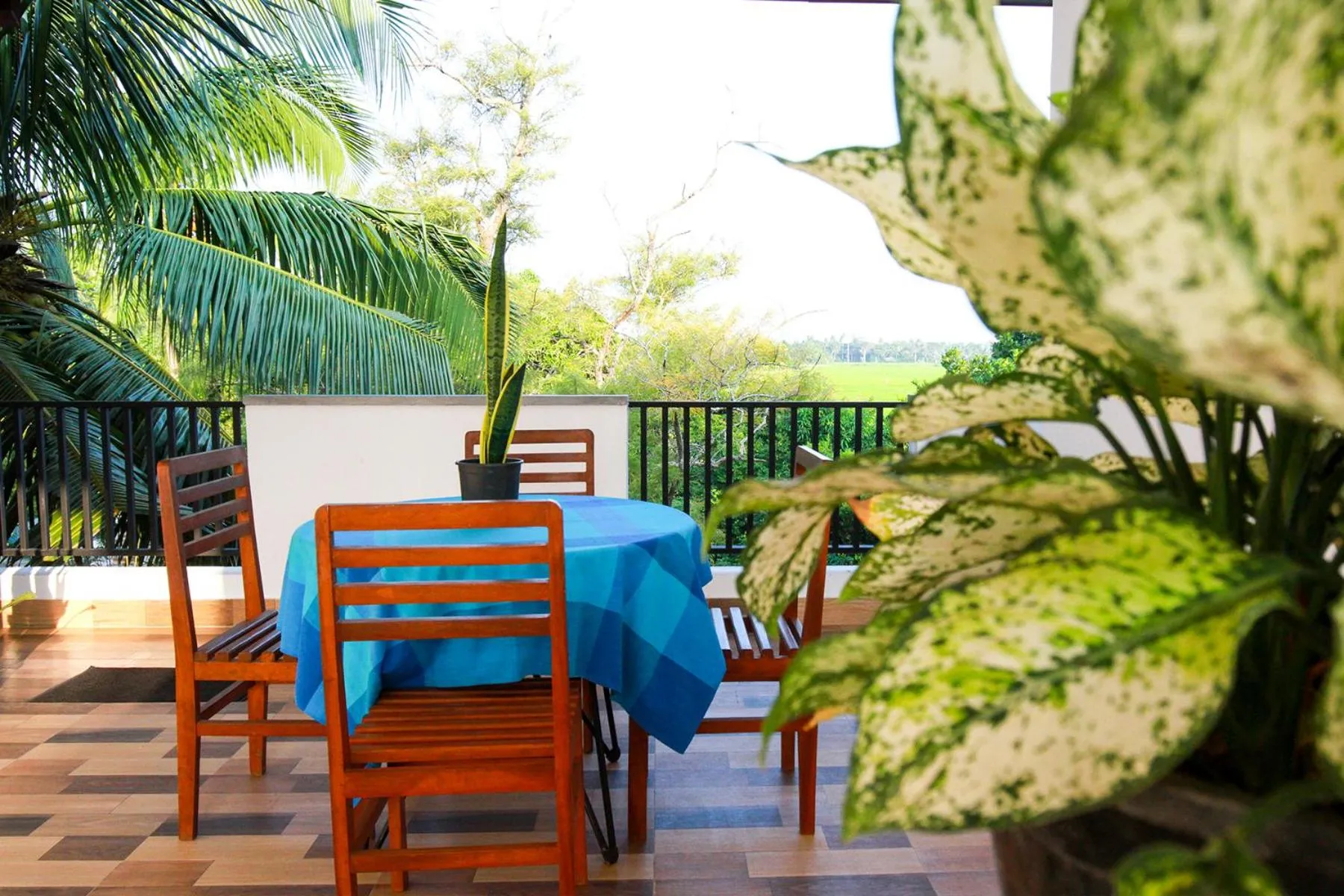 Garden view in Hotel Nilketha Yala Tissamaharama