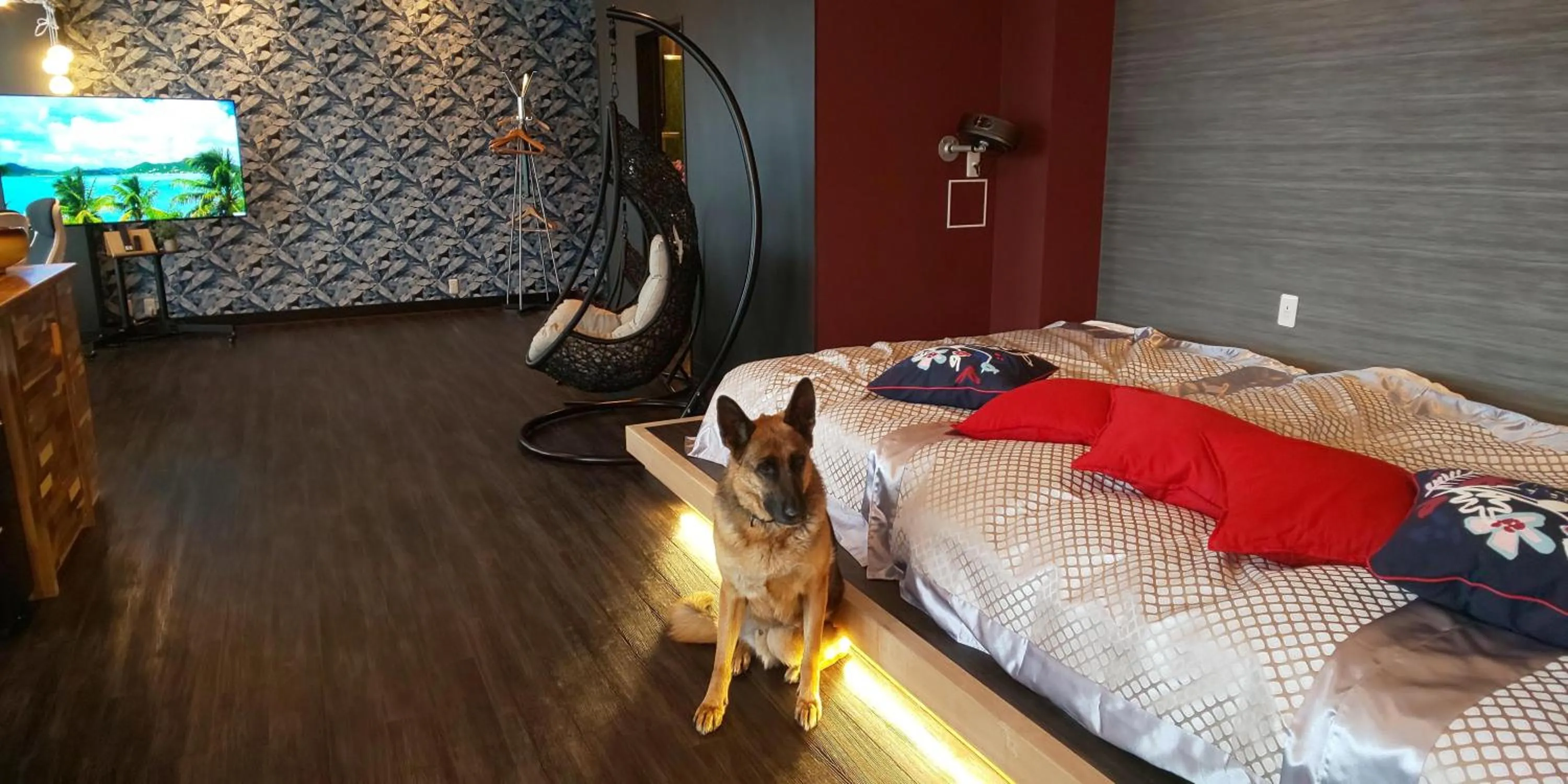 Hakone Gora Guam Dog