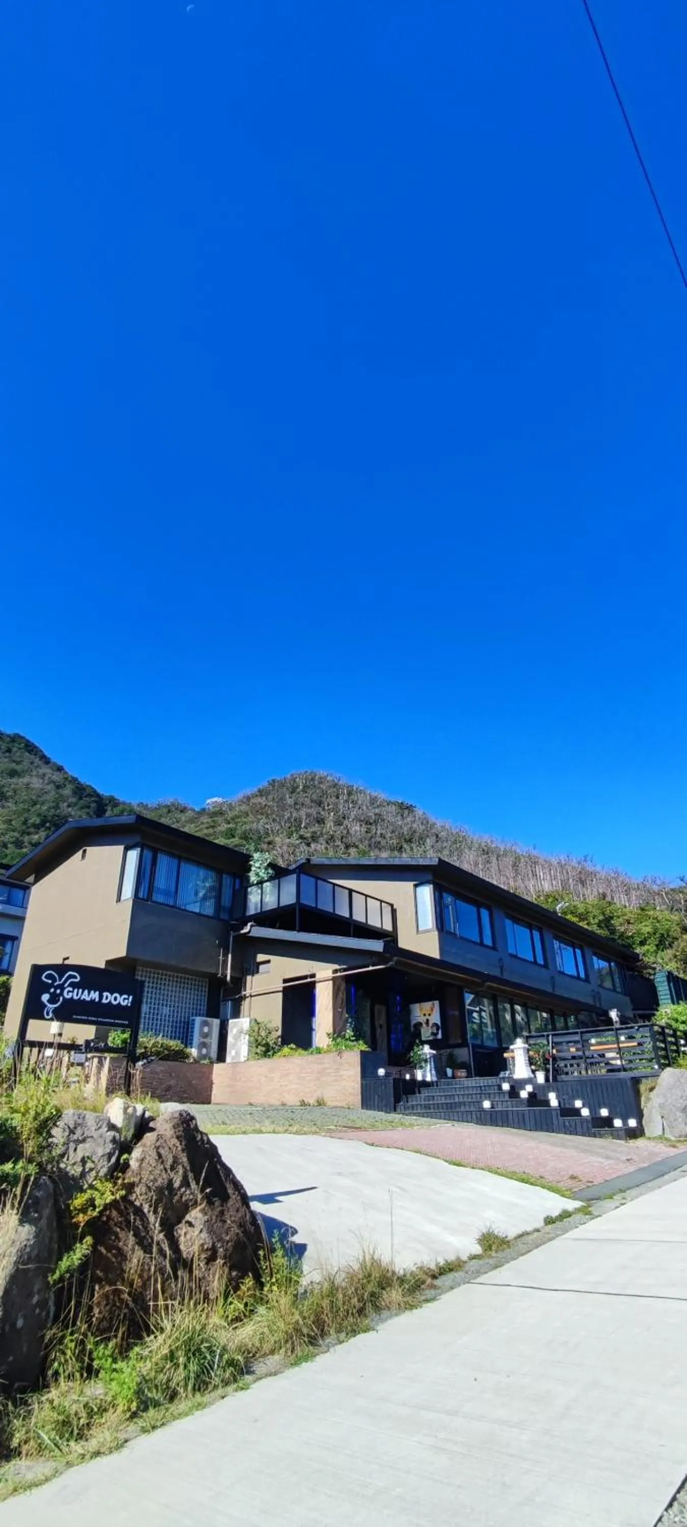 Hakone Gora Guam Dog