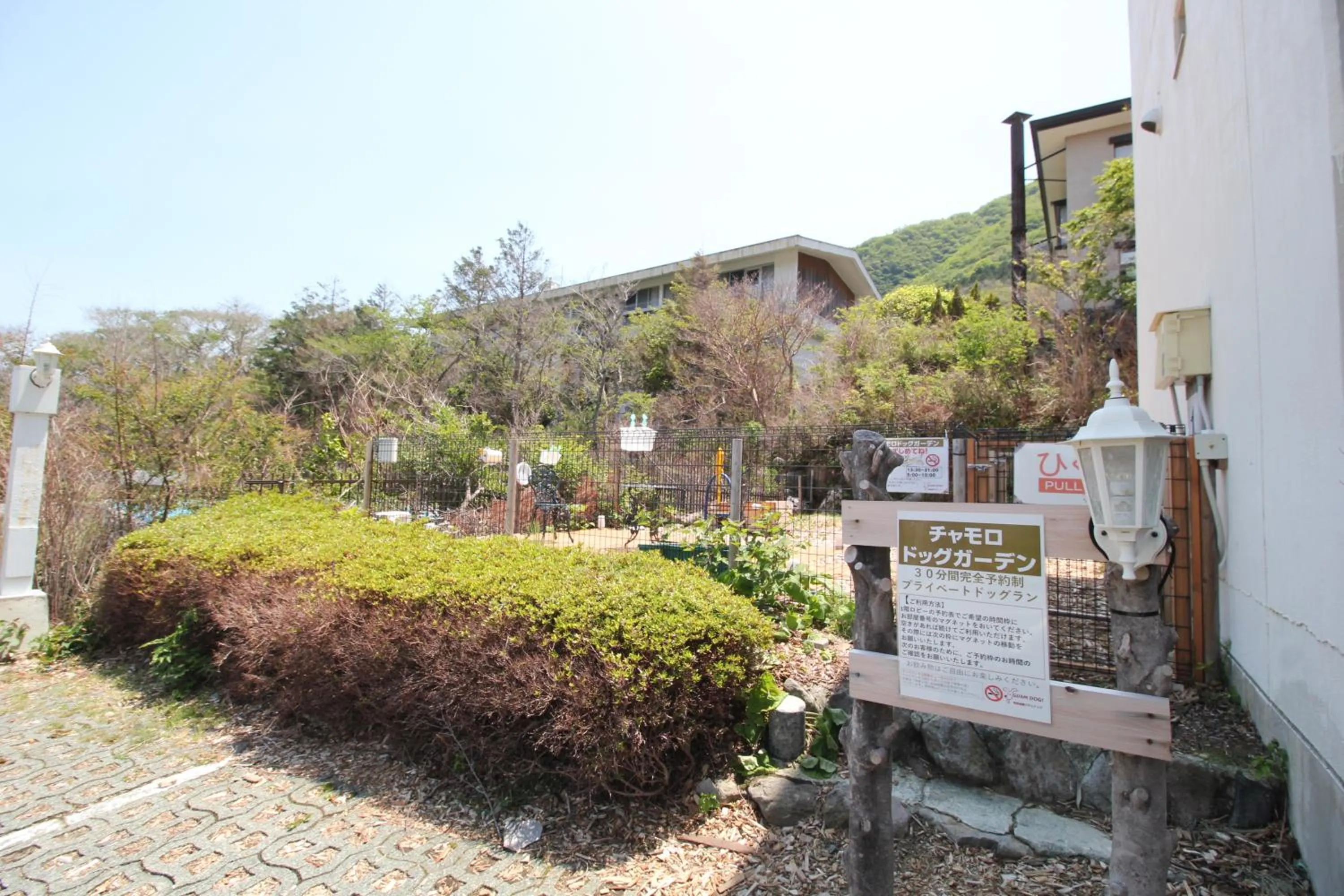 Hakone Gora Guam Dog