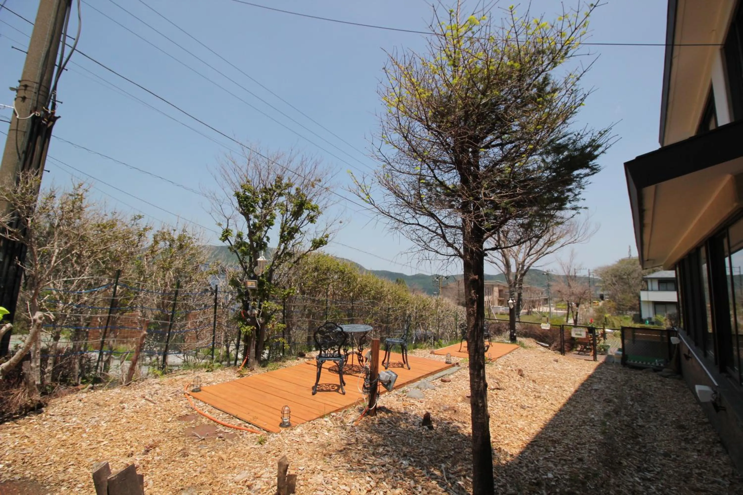 Hakone Gora Guam Dog