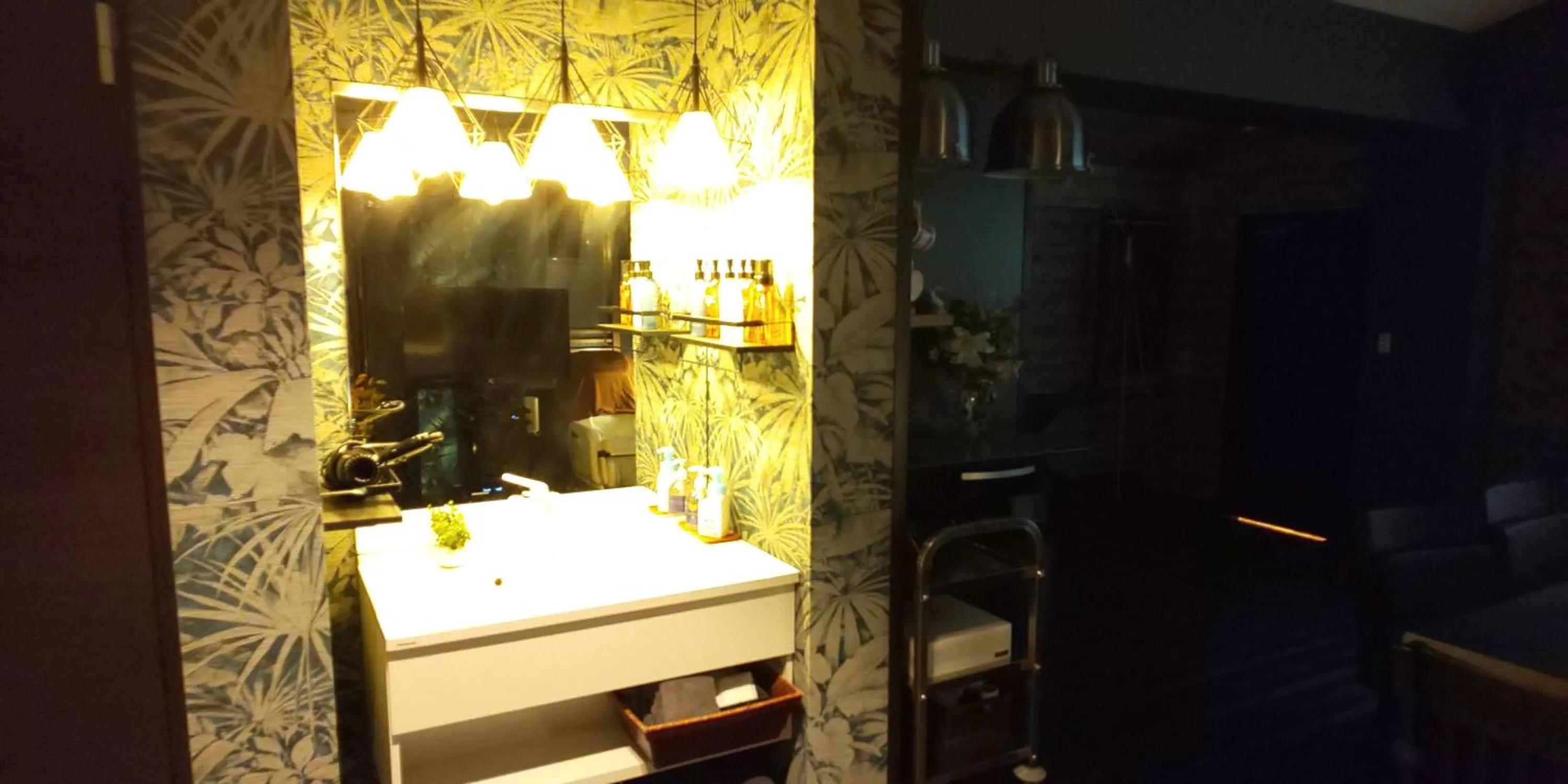 Hakone Gora Guam Dog