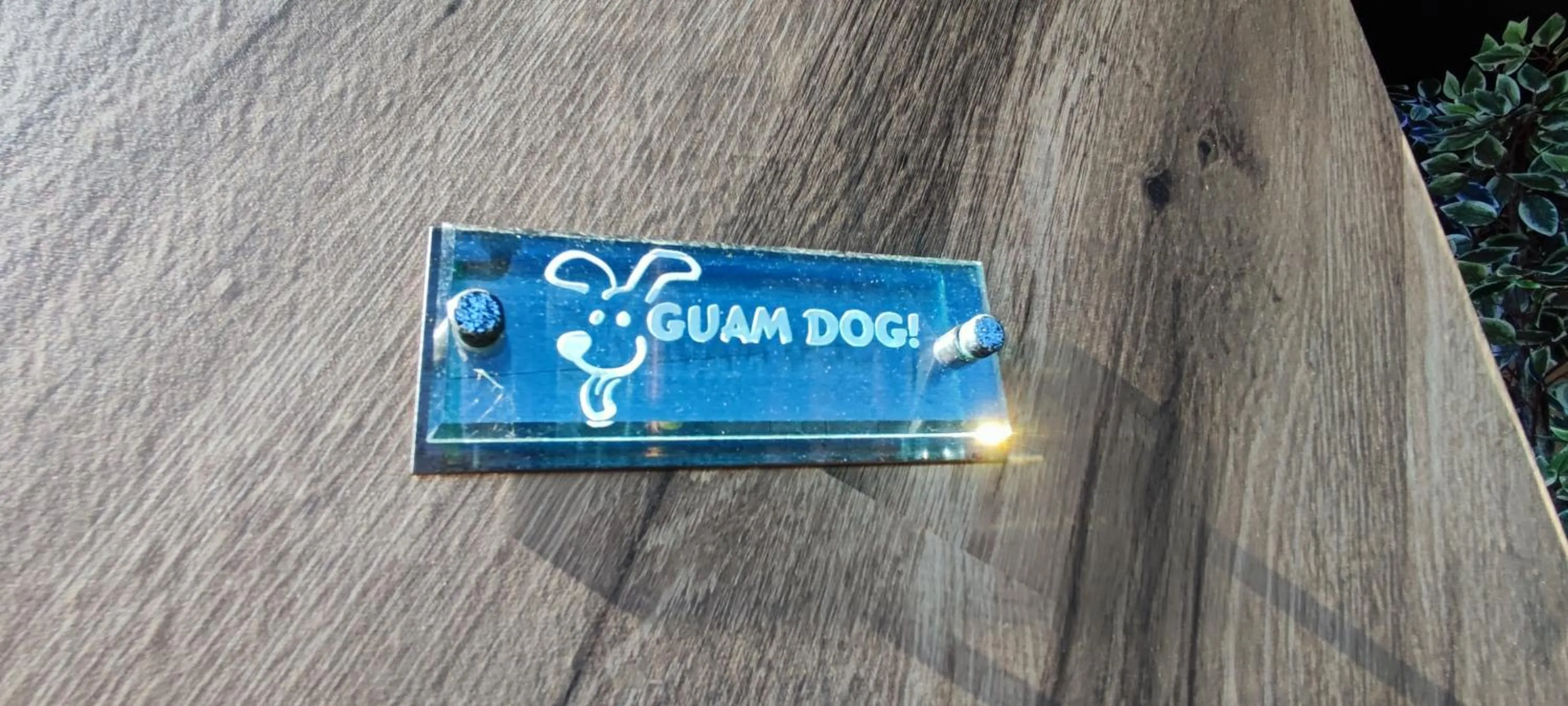Hakone Gora Guam Dog