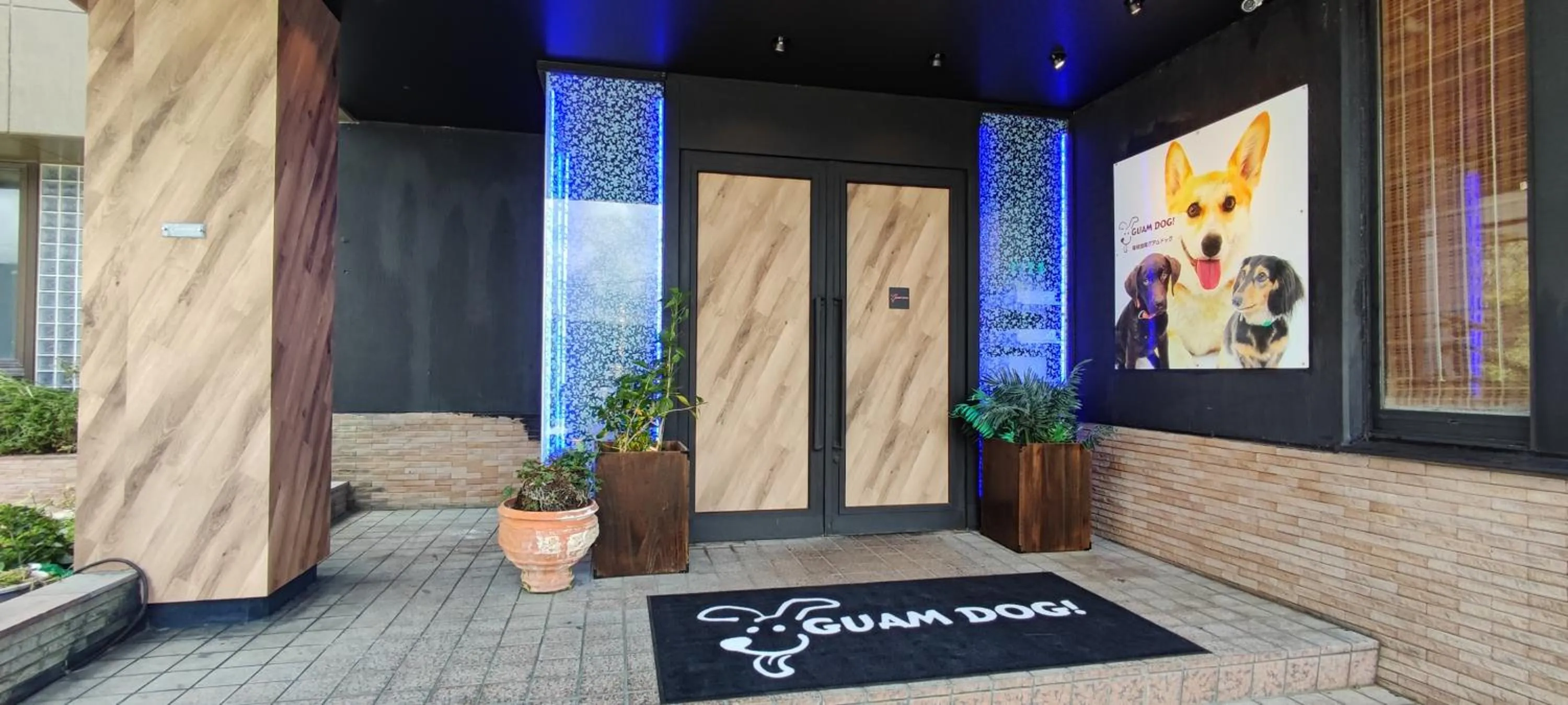 Hakone Gora Guam Dog