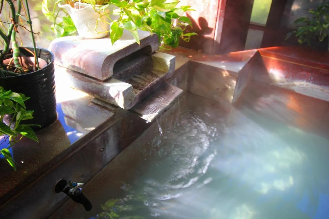 Hakone Gora Guam Dog