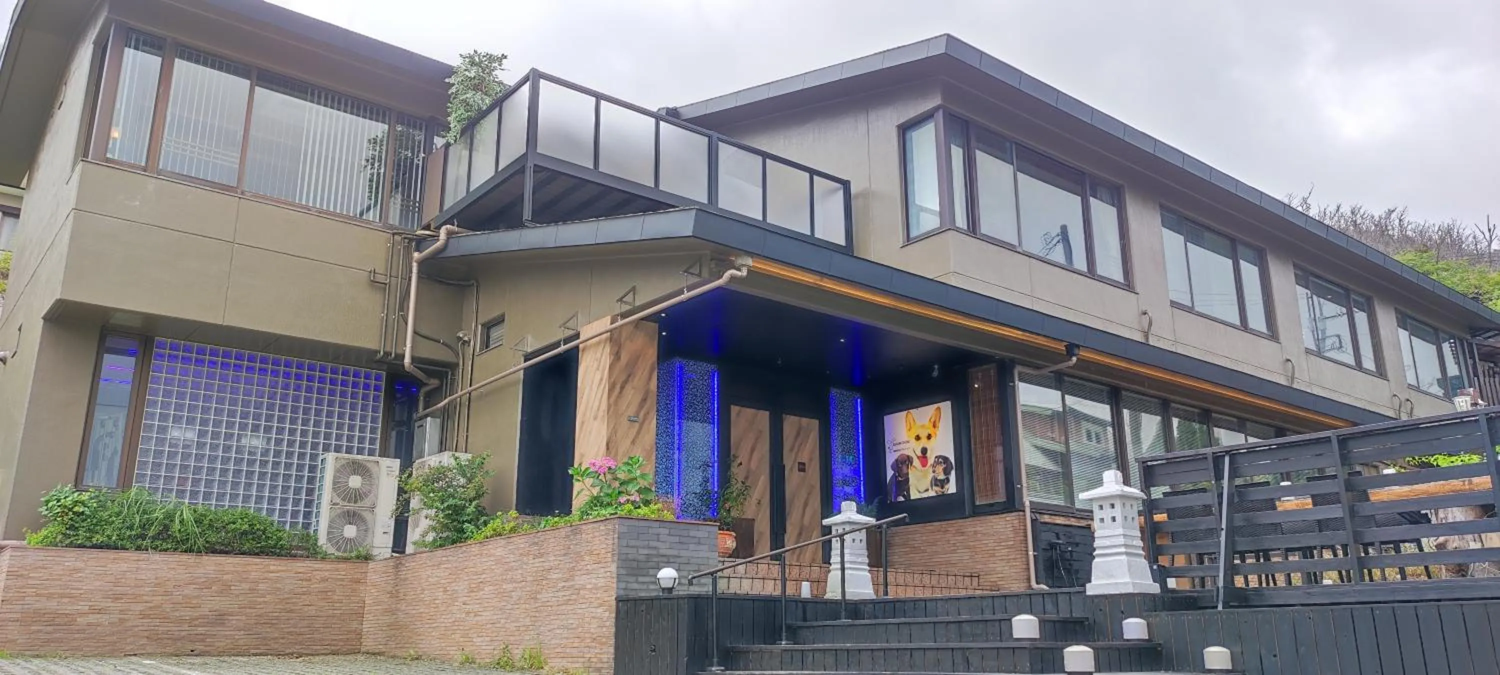 Hakone Gora Guam Dog