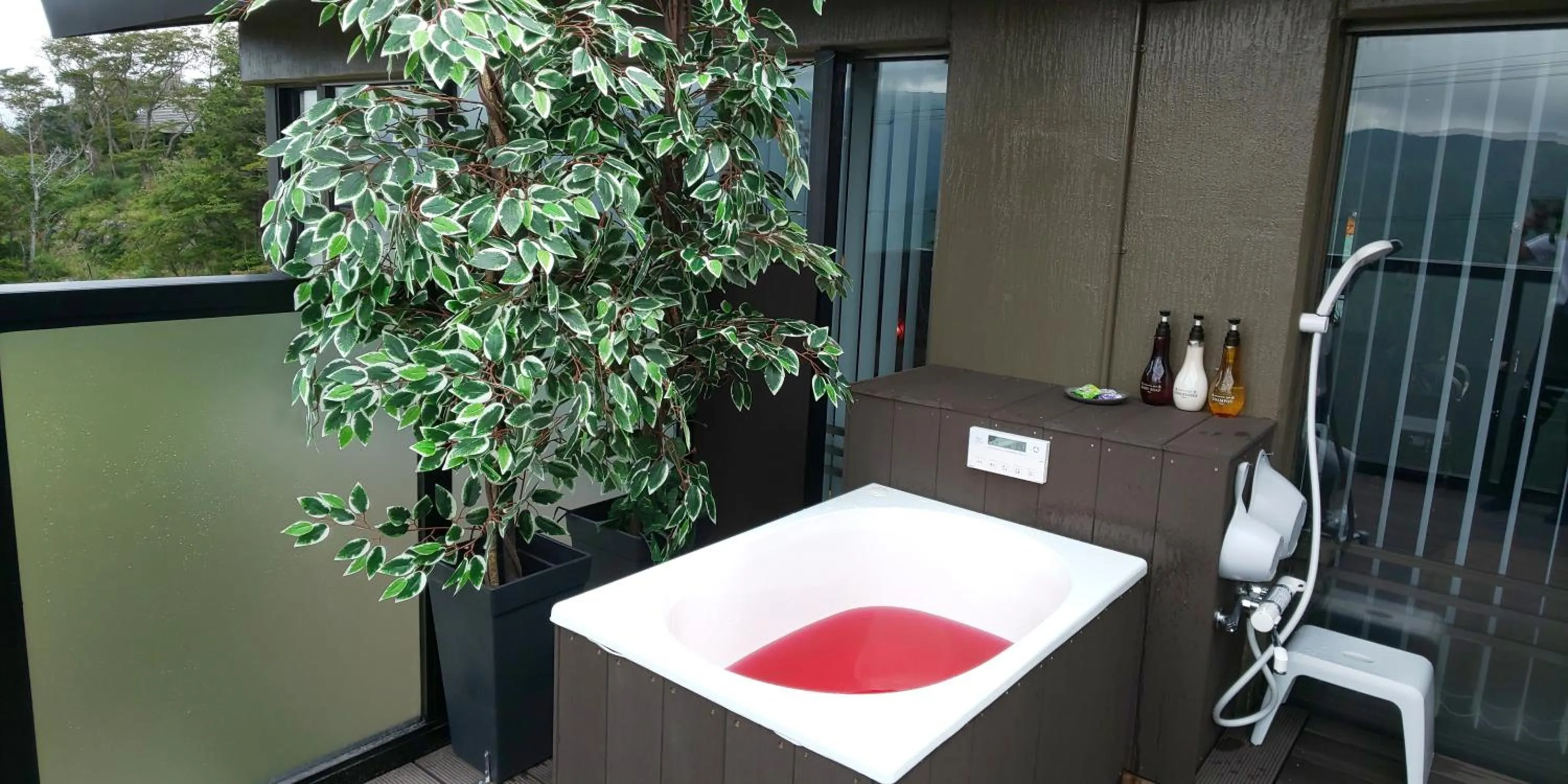 Hakone Gora Guam Dog