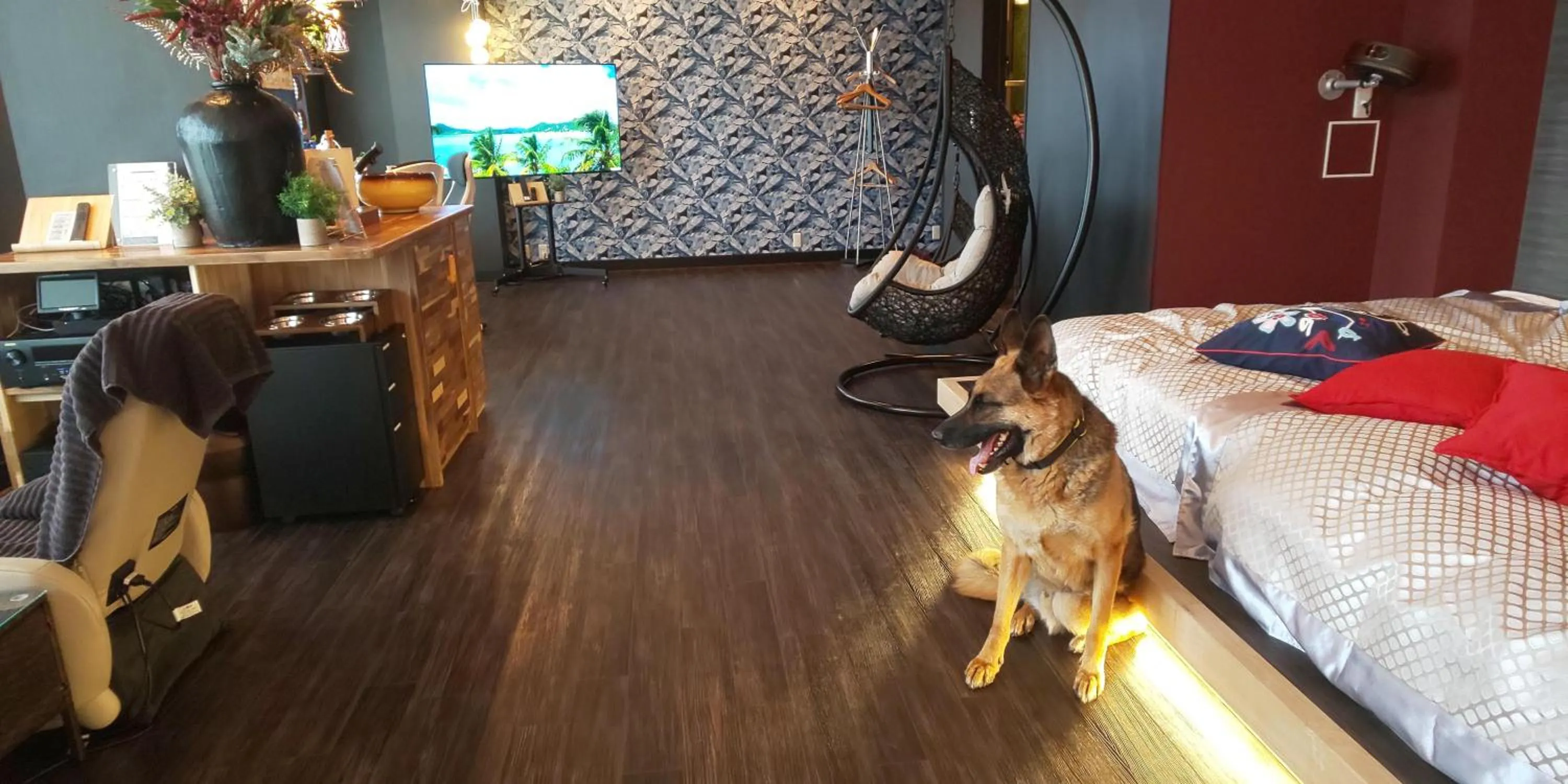 Hakone Gora Guam Dog