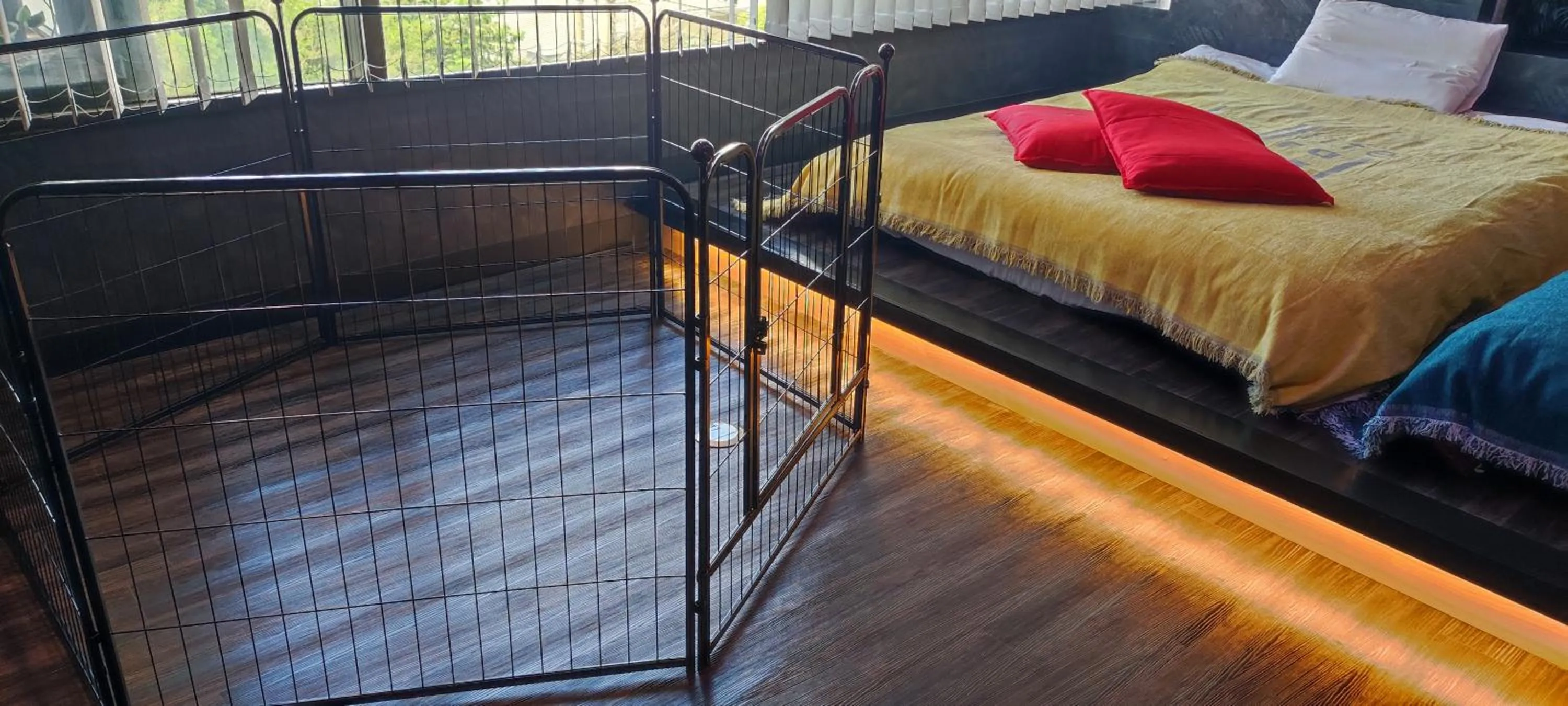 Hakone Gora Guam Dog