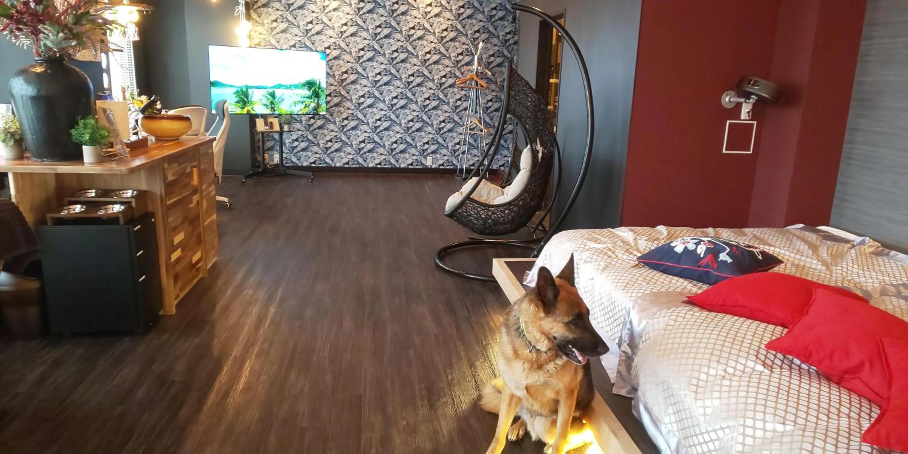 Hakone Gora Guam Dog