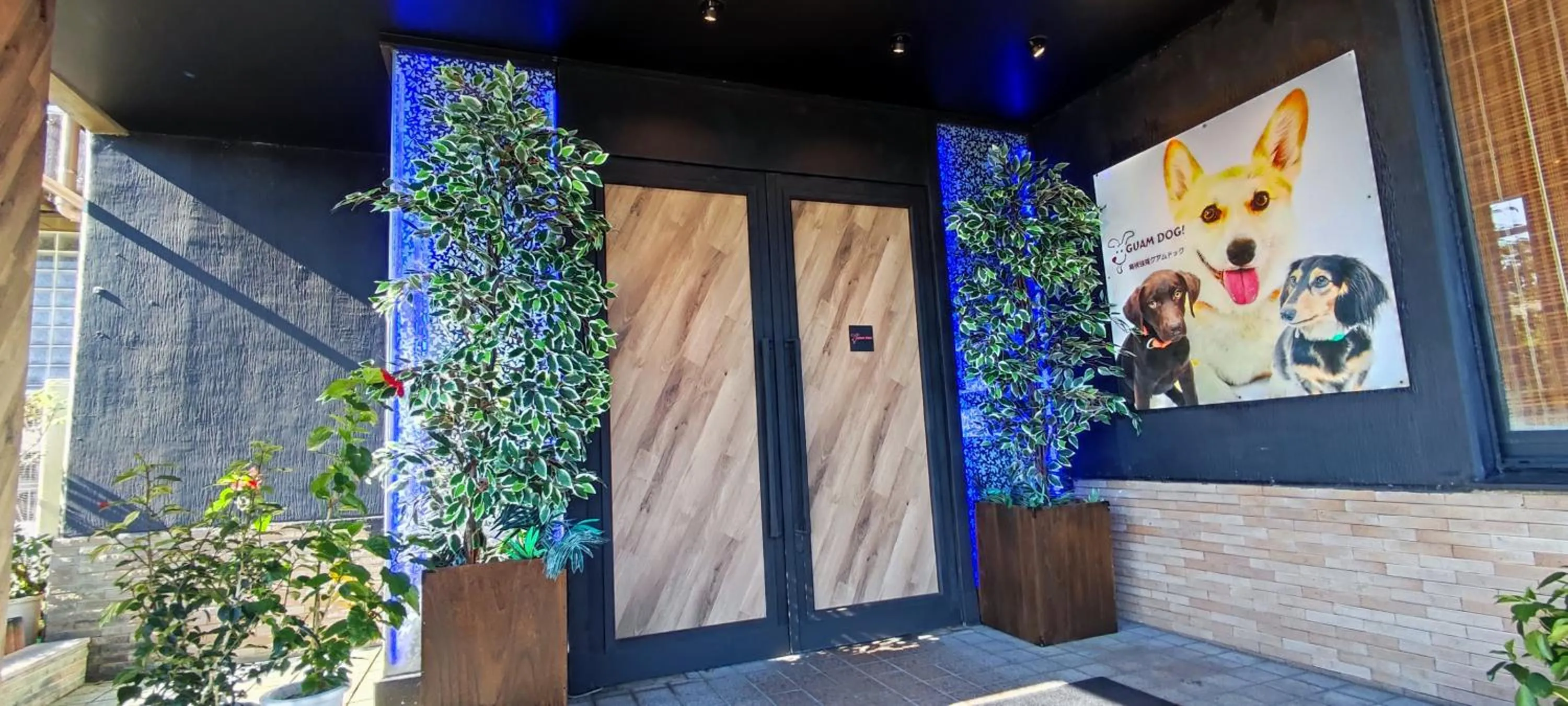 Hakone Gora Guam Dog