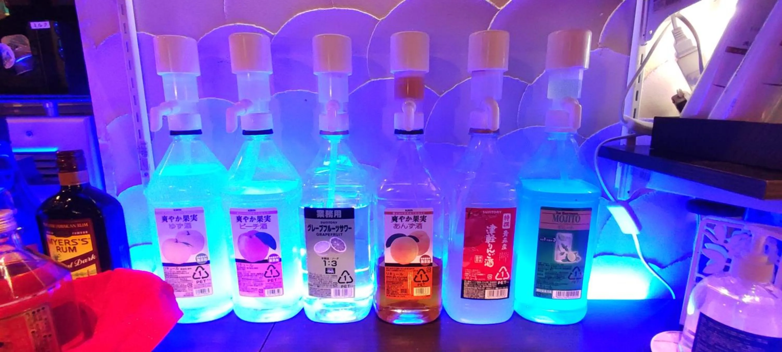 Hakone Gora Guam Dog