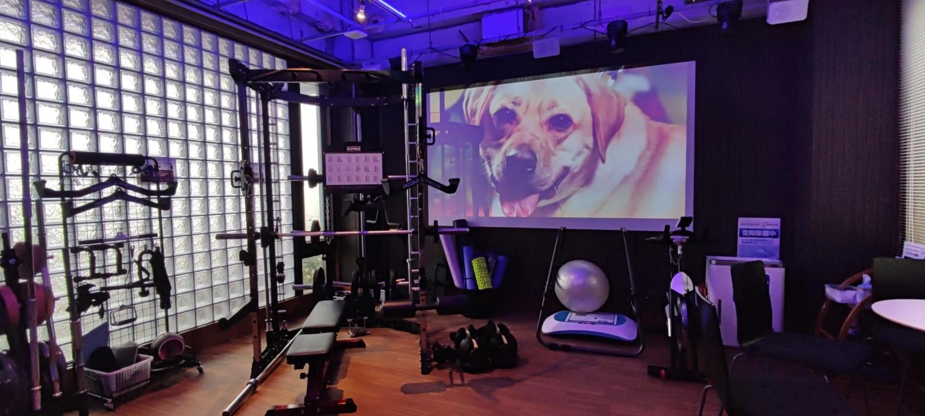 Fitness centre/facilities in Hakone Gora Guam Dog