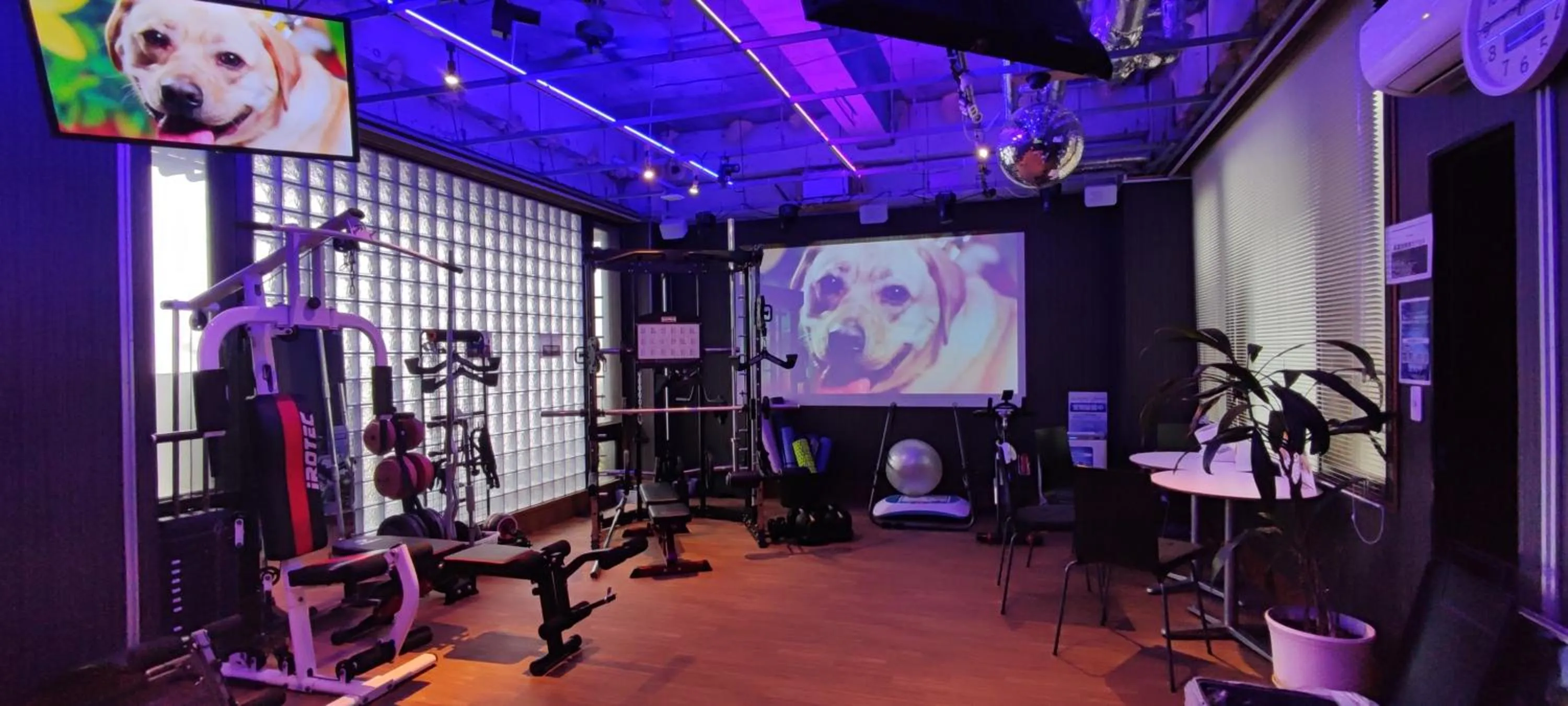 Fitness centre/facilities in Hakone Gora Guam Dog