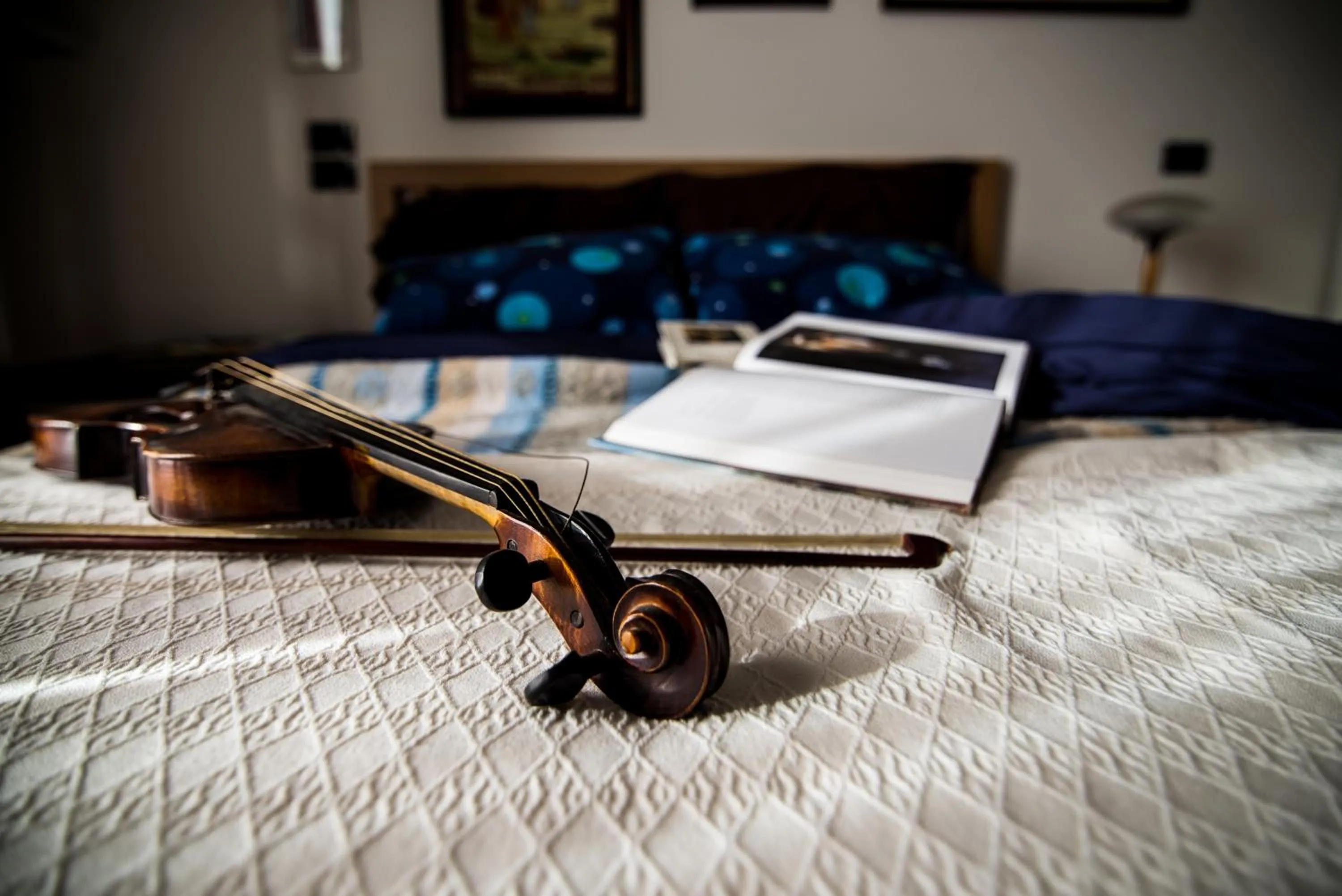 Other, Bed in Al Parco Storga B&b