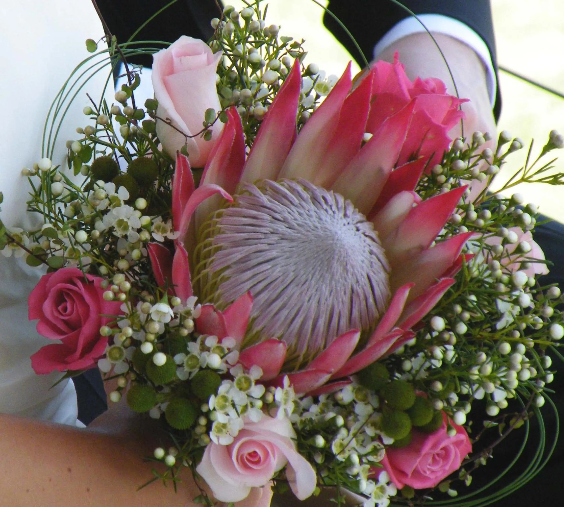 Spring in 138 Marine Beachfront Guesthouse