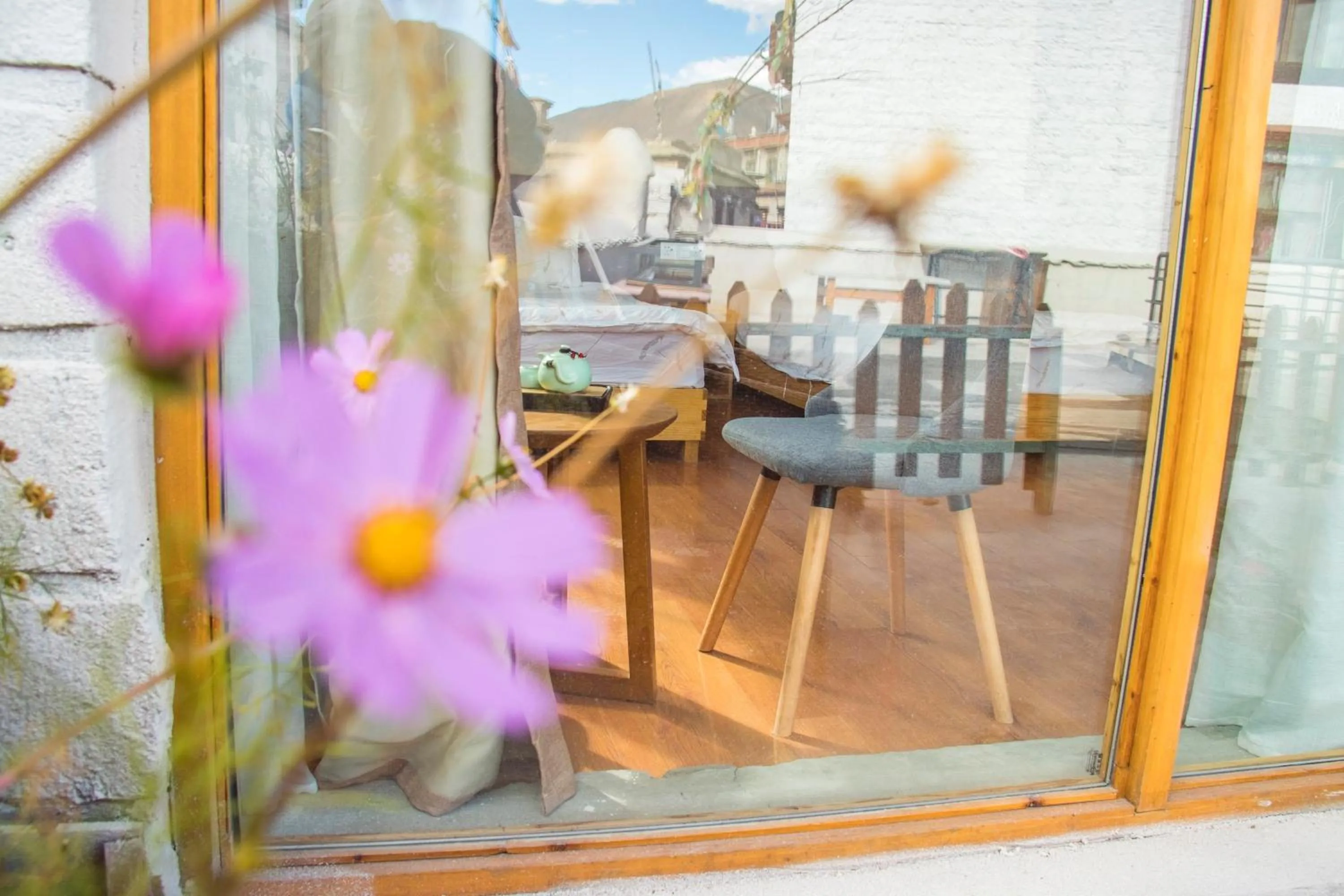 Garden view in Fengma Feiyang Hostel