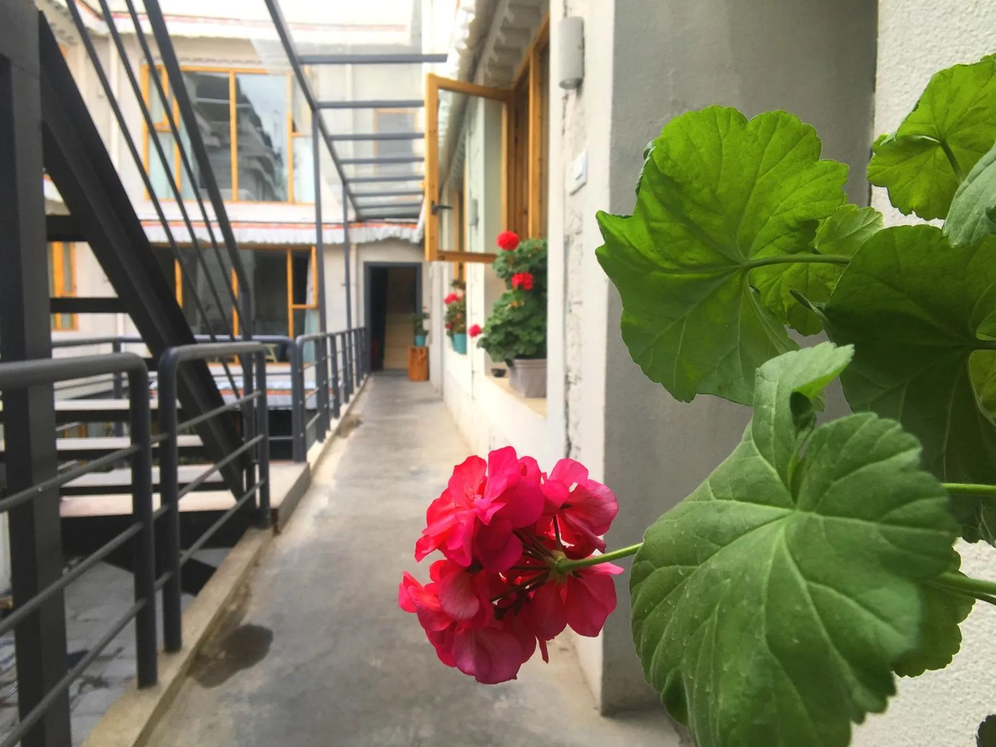Property building in Fengma Feiyang Hostel
