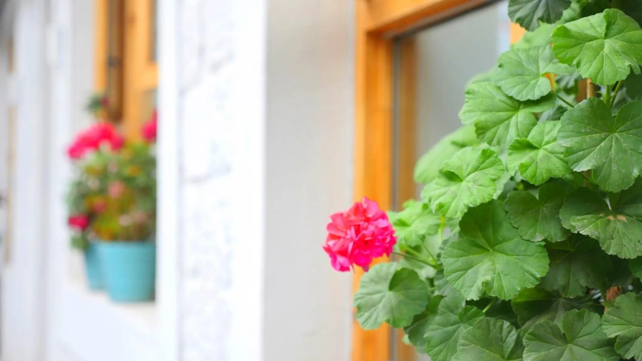 Property building in Fengma Feiyang Hostel