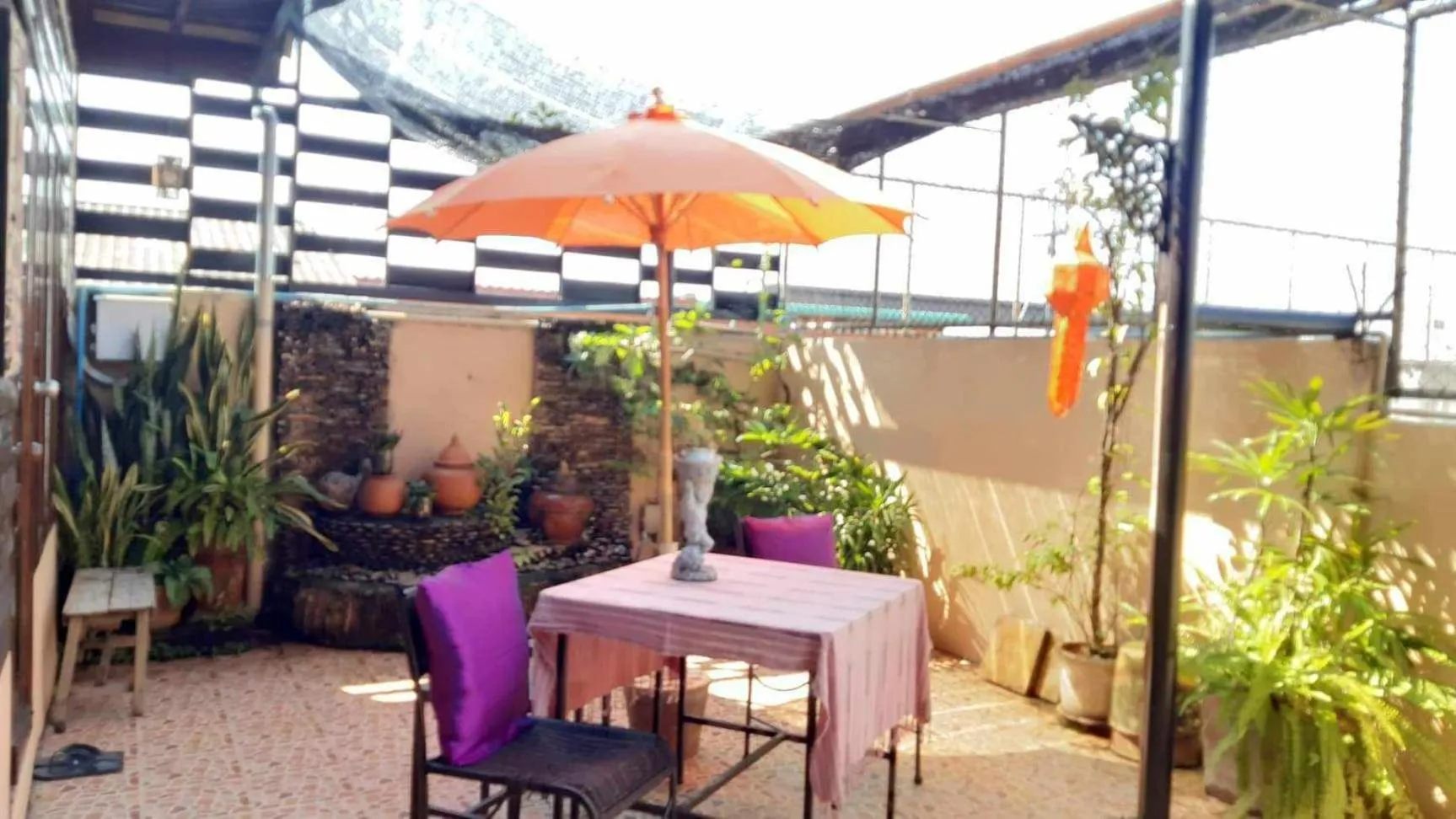 Garden in The North Hotel