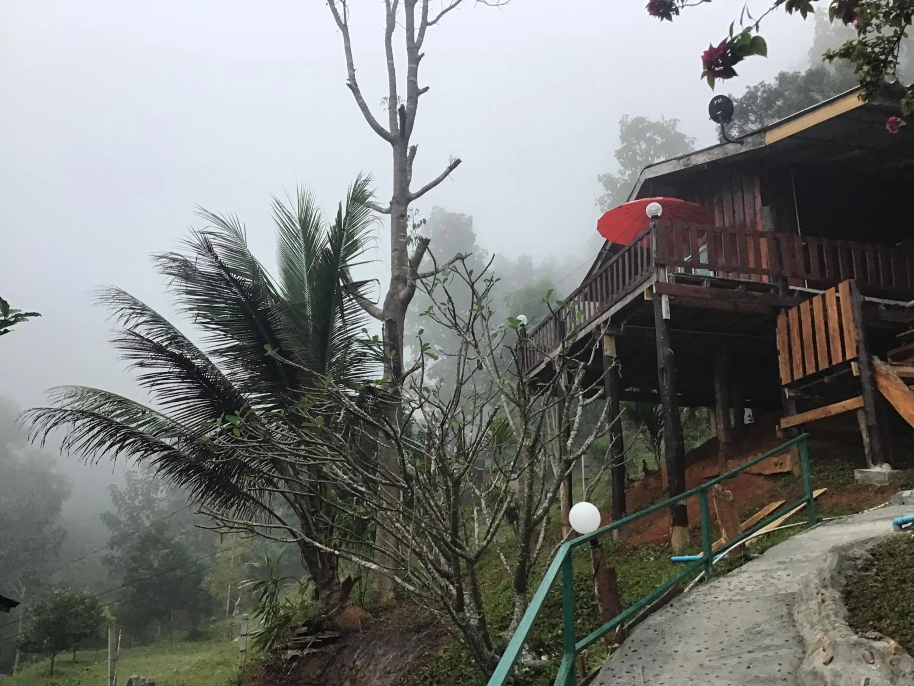 Property building in Forest Guesthouse