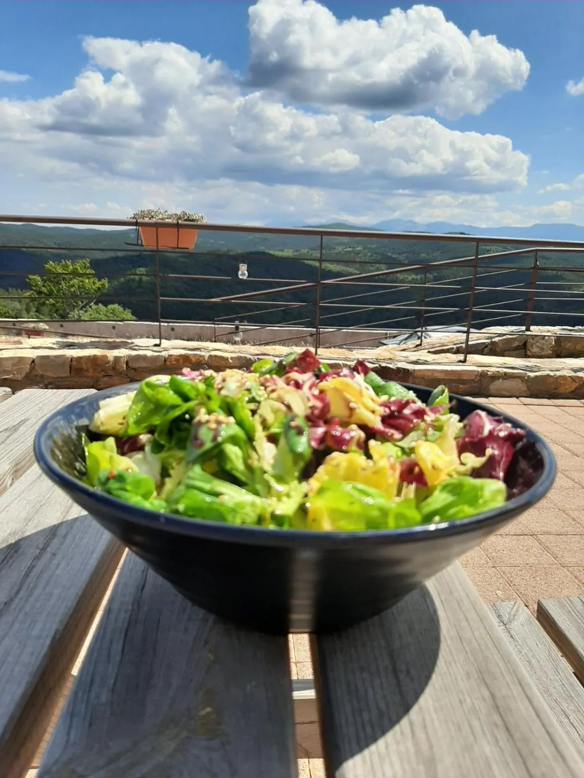Food close-up in Foresta in Medias Mores
