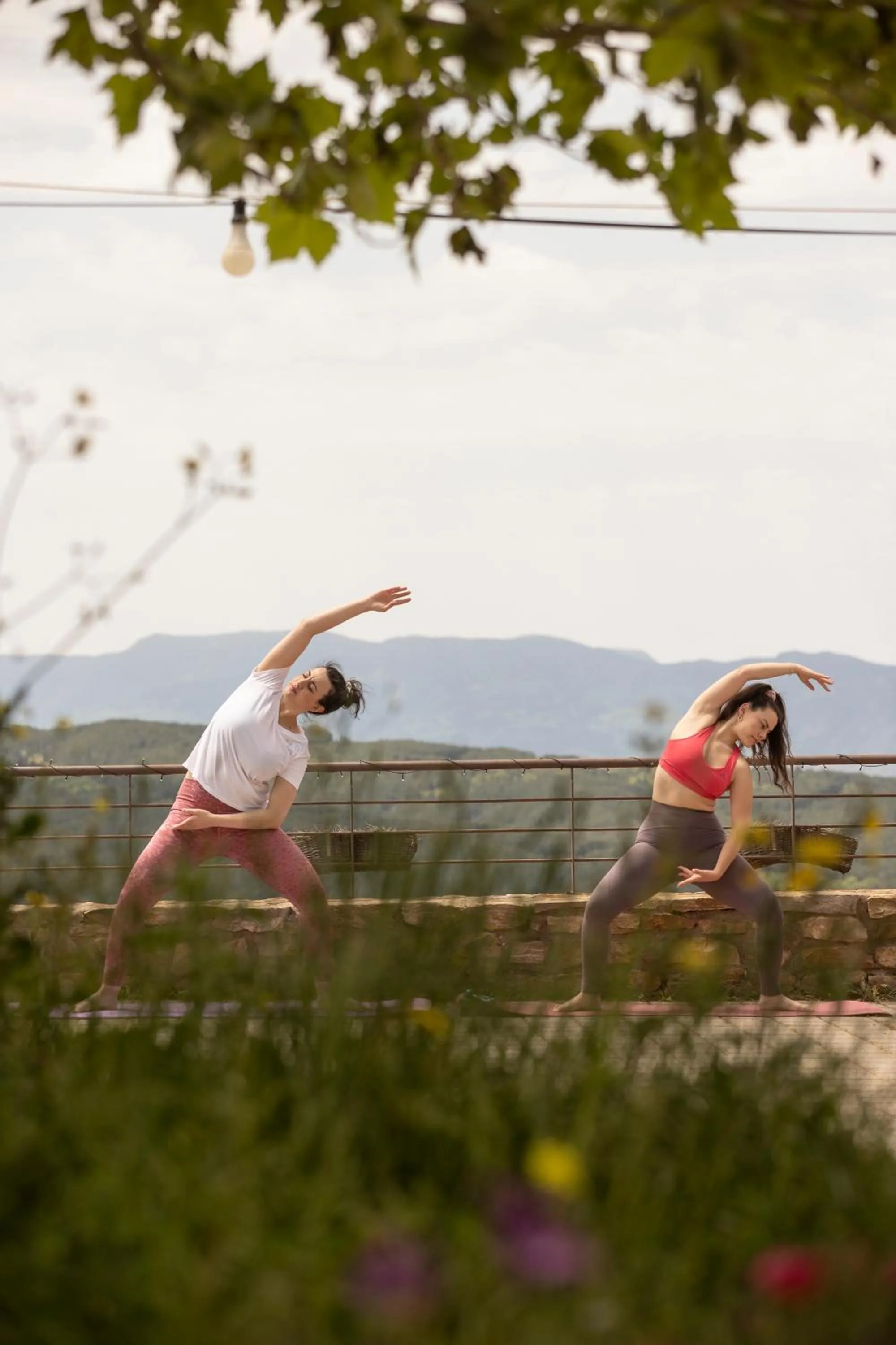 Activities in Foresta in Medias Mores