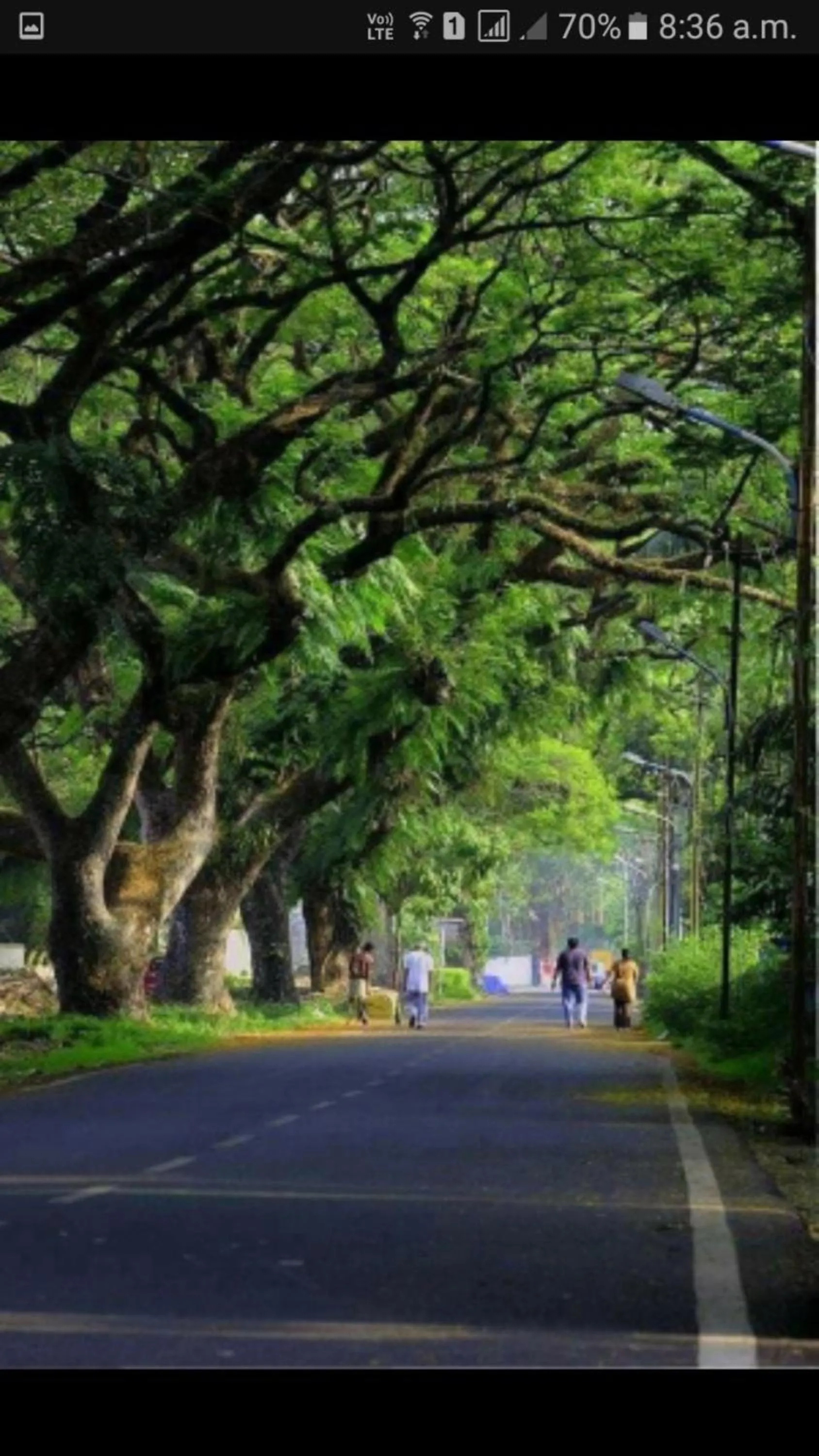 Street view in Fortkochi Beach Inn