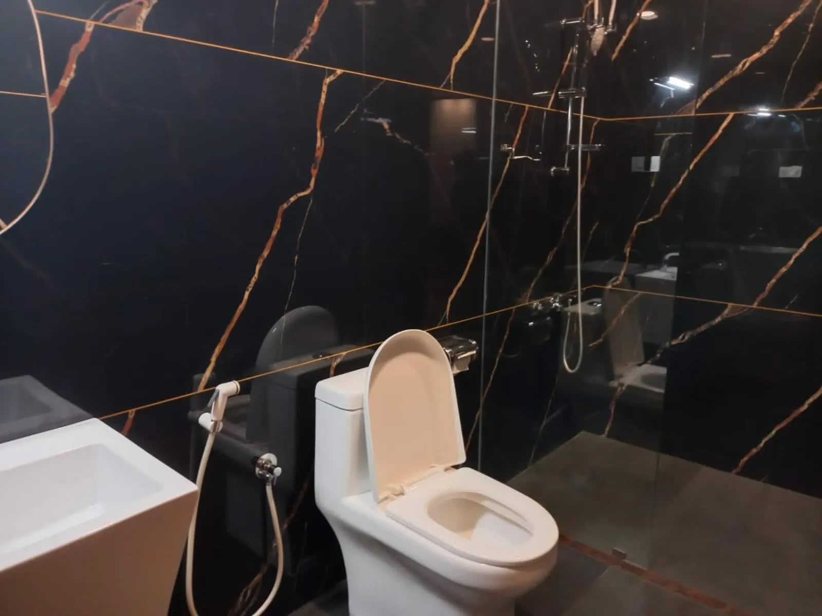 Toilet in Fortkochi Beach Inn