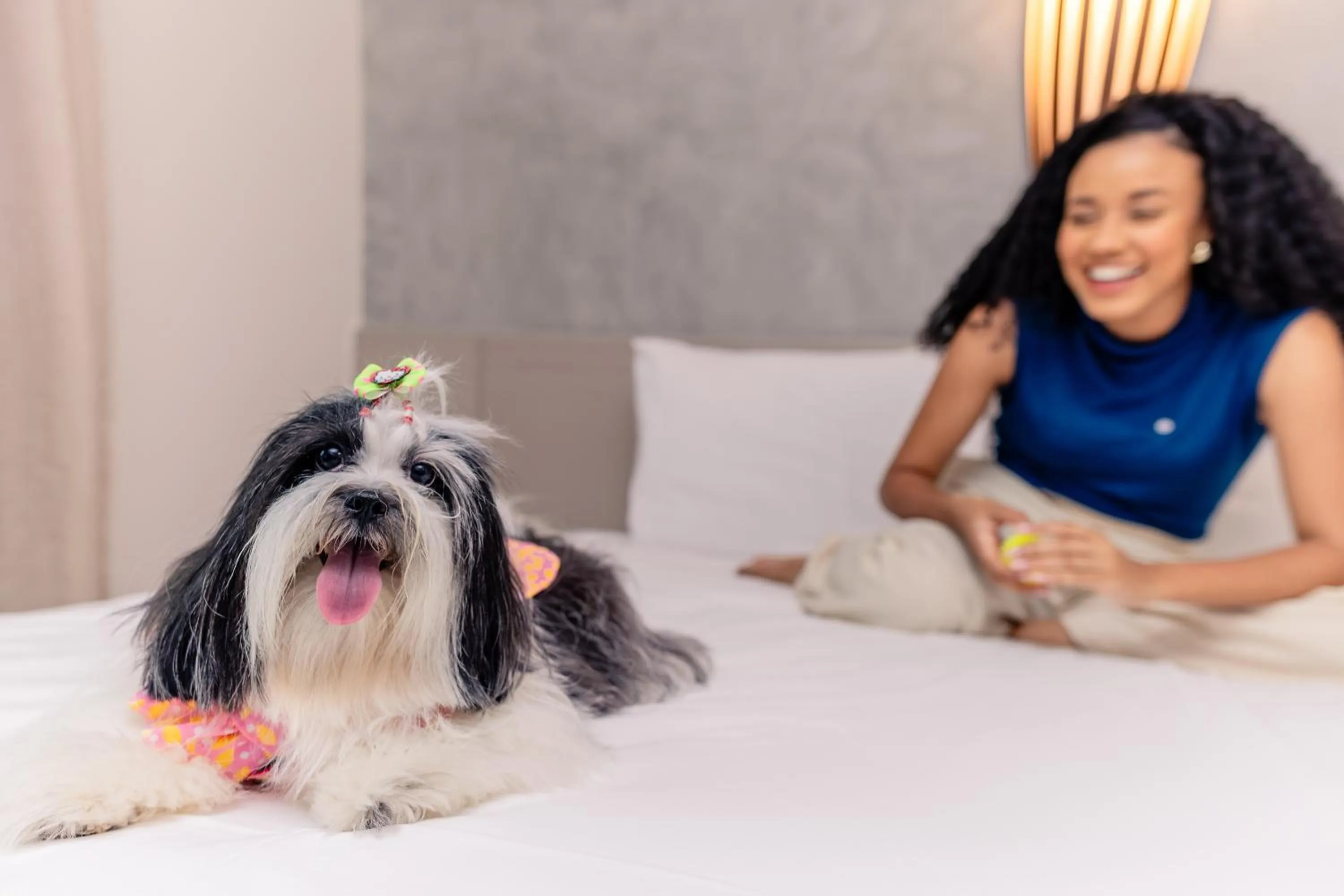 Bedroom in Go Inn Hotel Aracaju