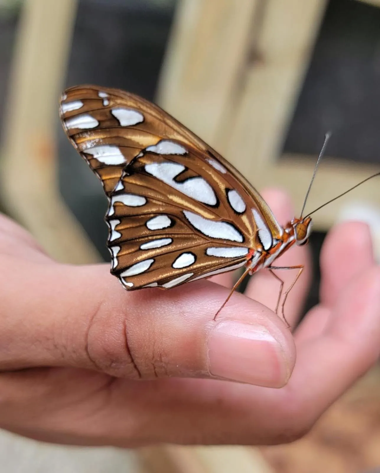 Activities in Venus Hotel