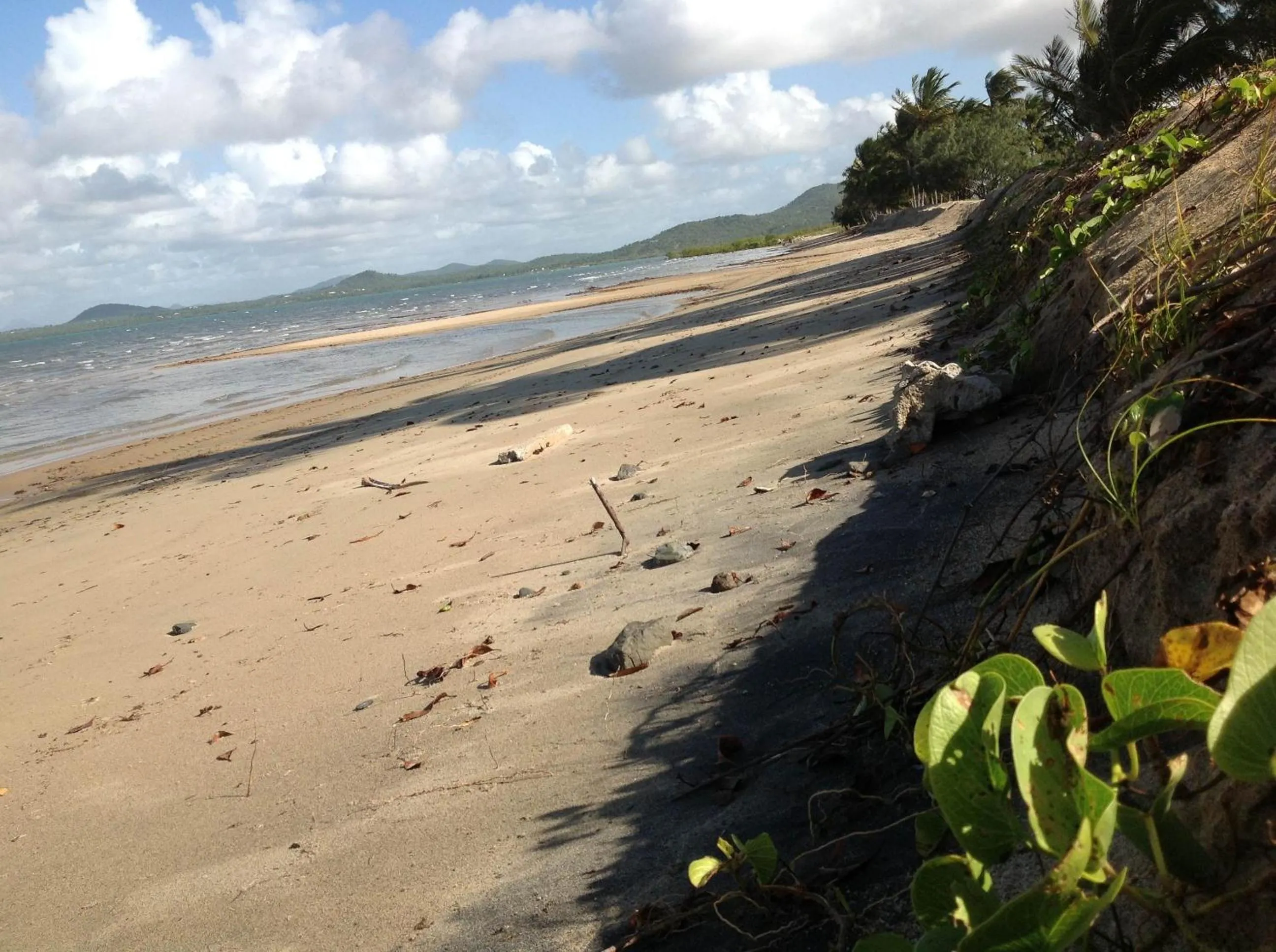 Beach in Port Denison Motor Inn