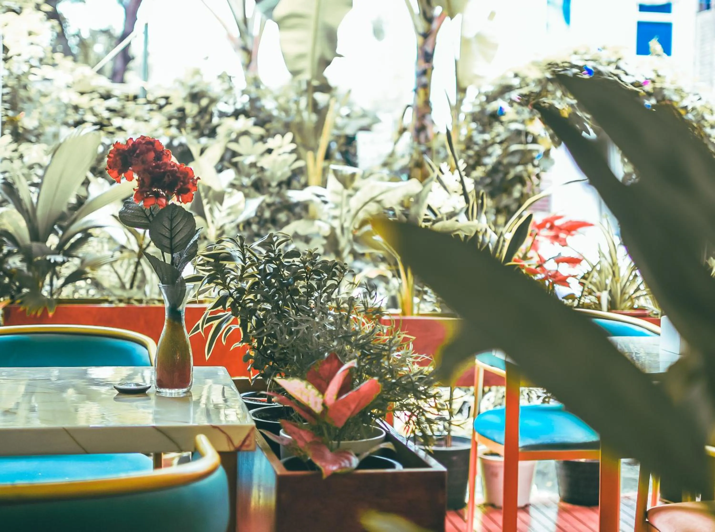 Restaurant/places to eat in Vilu Rest