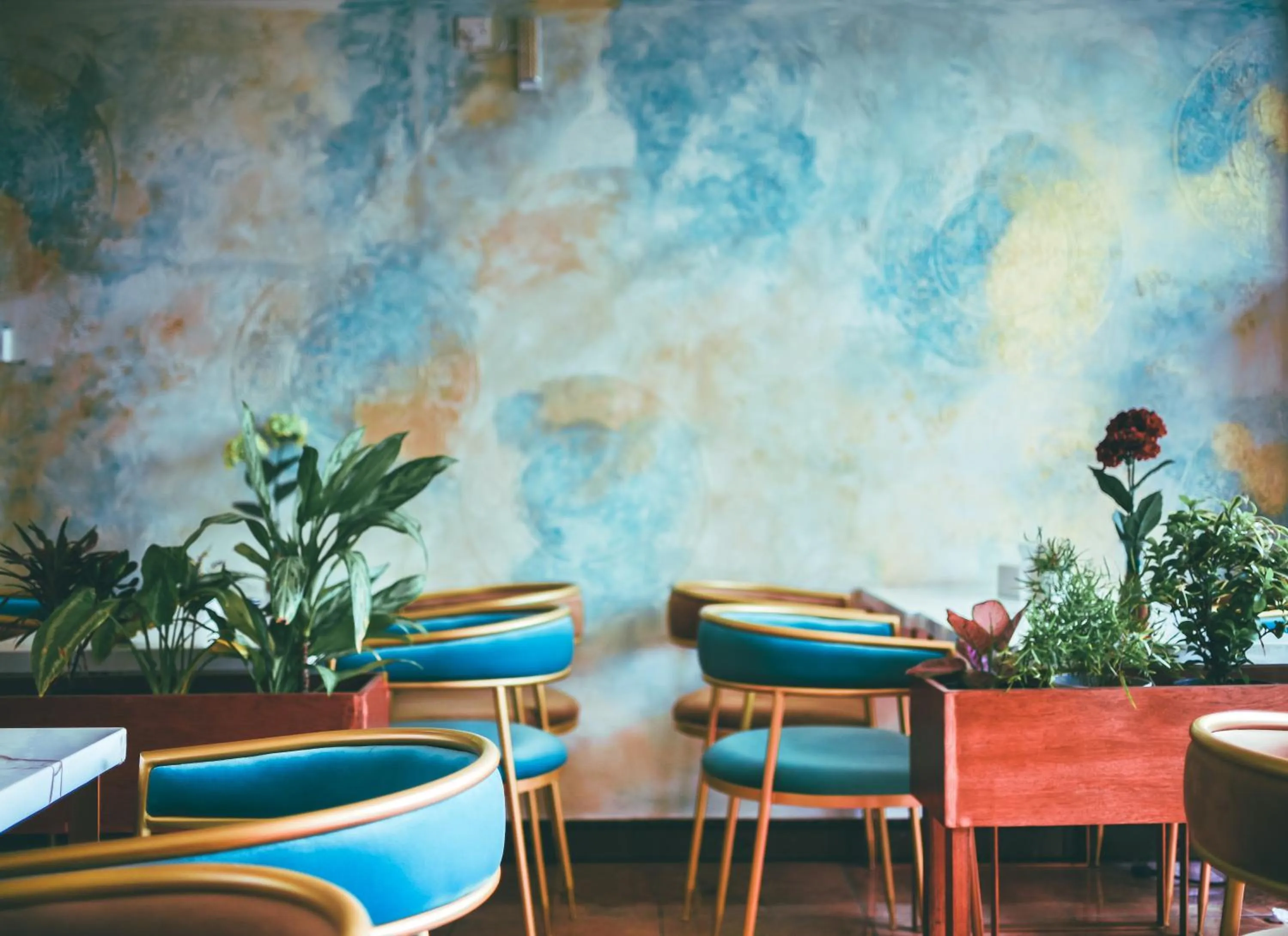 Restaurant/places to eat in Vilu Rest