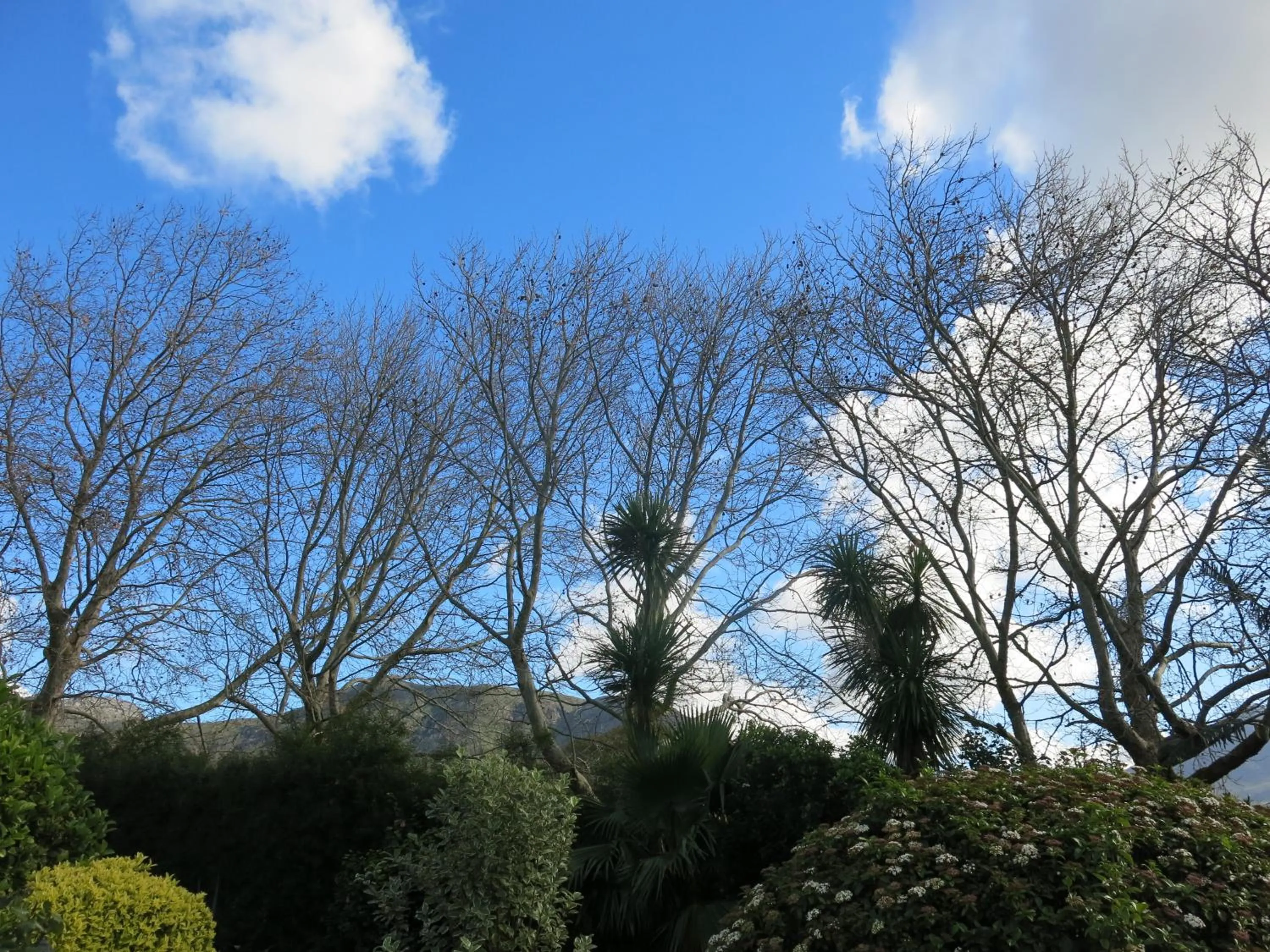 Neighbourhood in Summit Place Guesthouse