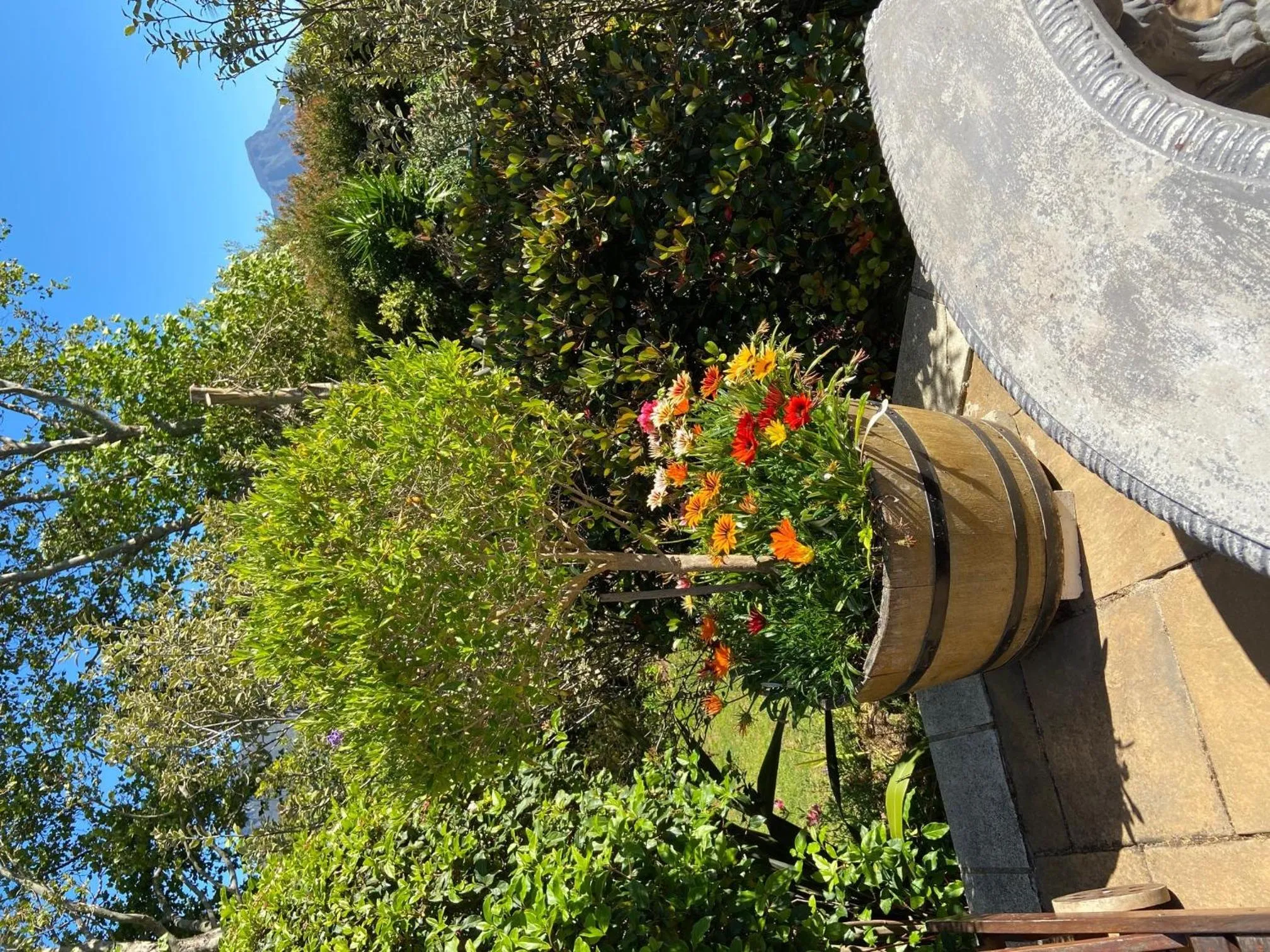 Garden in Summit Place Guesthouse