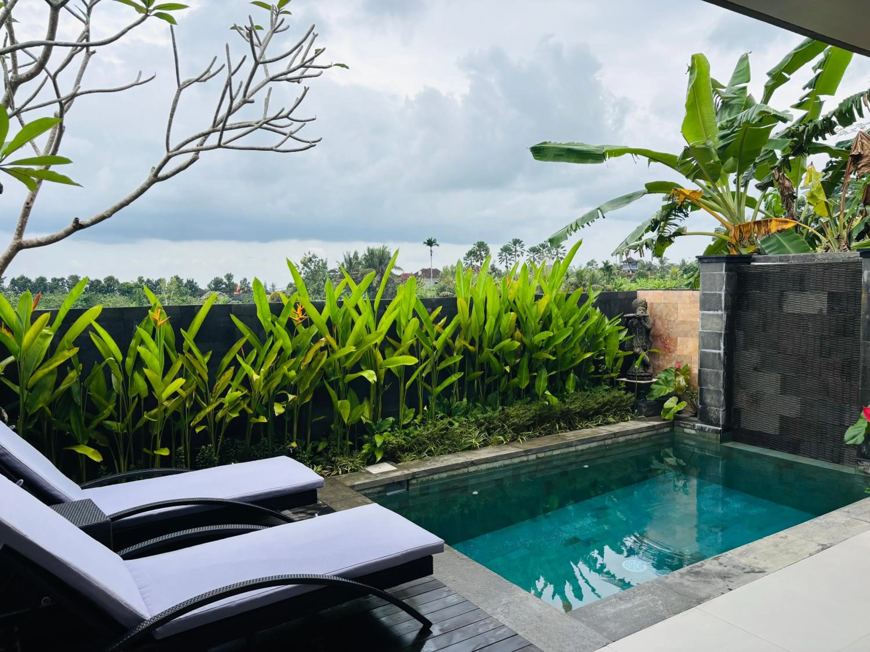 Garden view in Uma Padi Villa