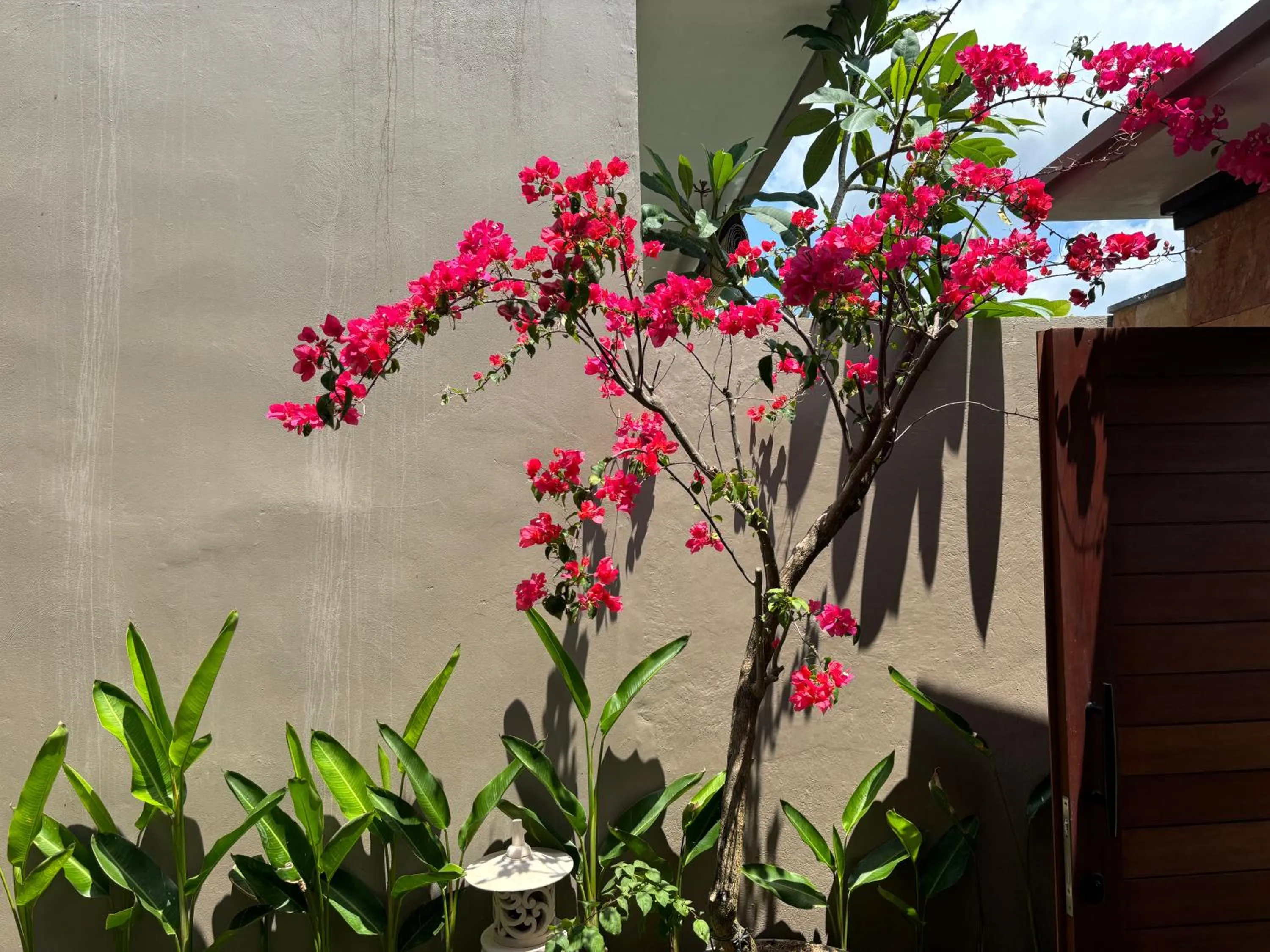 Garden in Uma Padi Villa