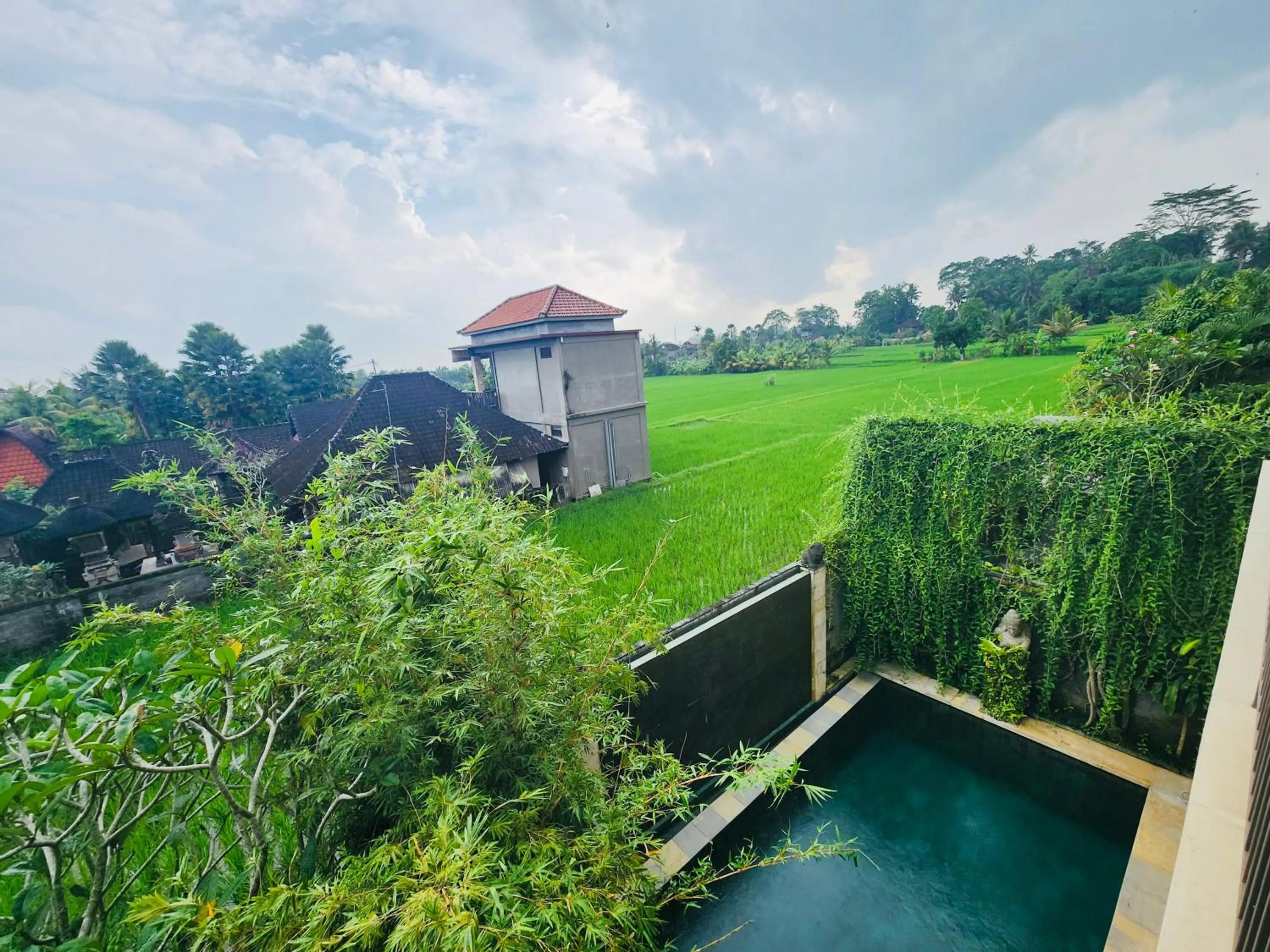 Natural landscape in Uma Padi Villa