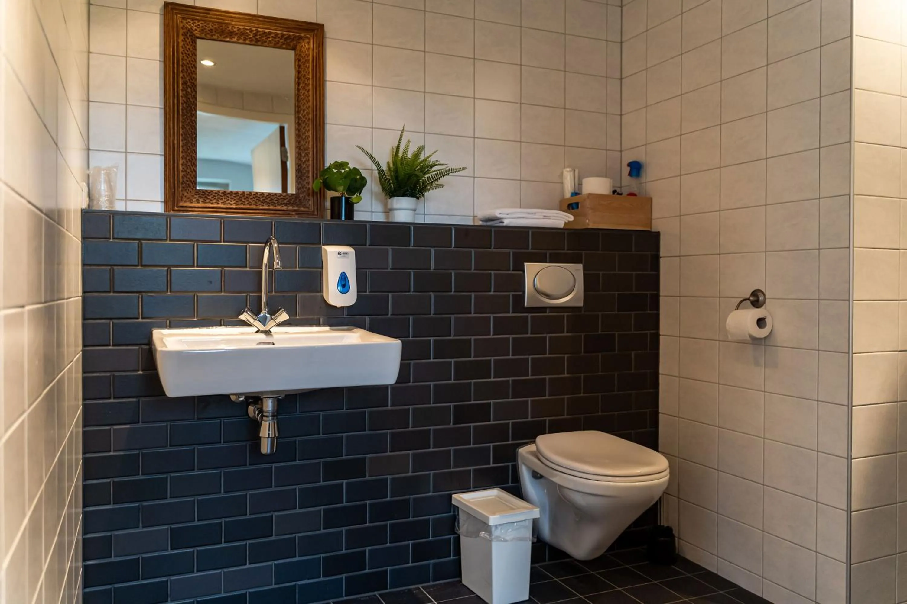 Bathroom in De Johanneshoeve