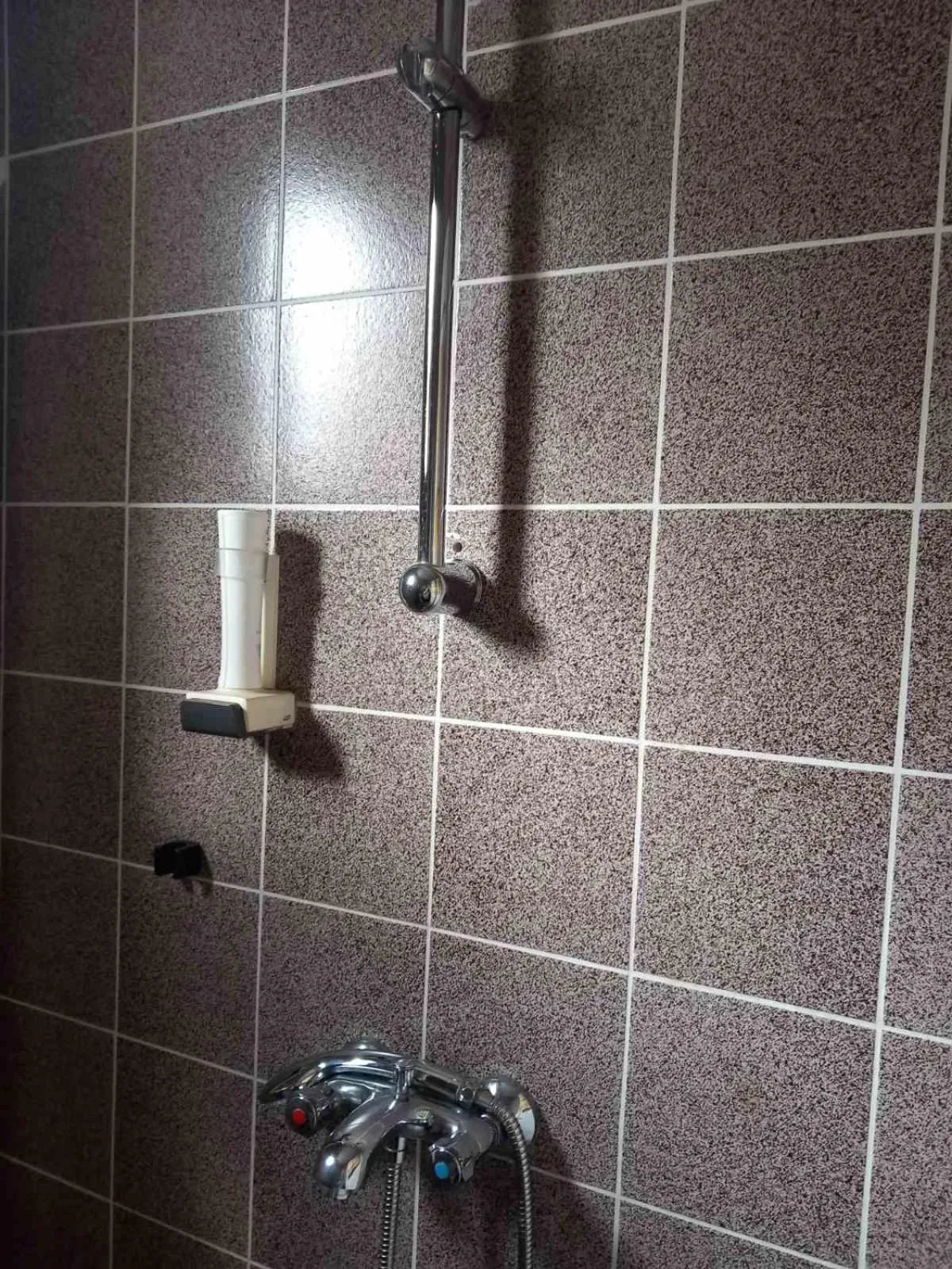 Shower in Hotel Mishel