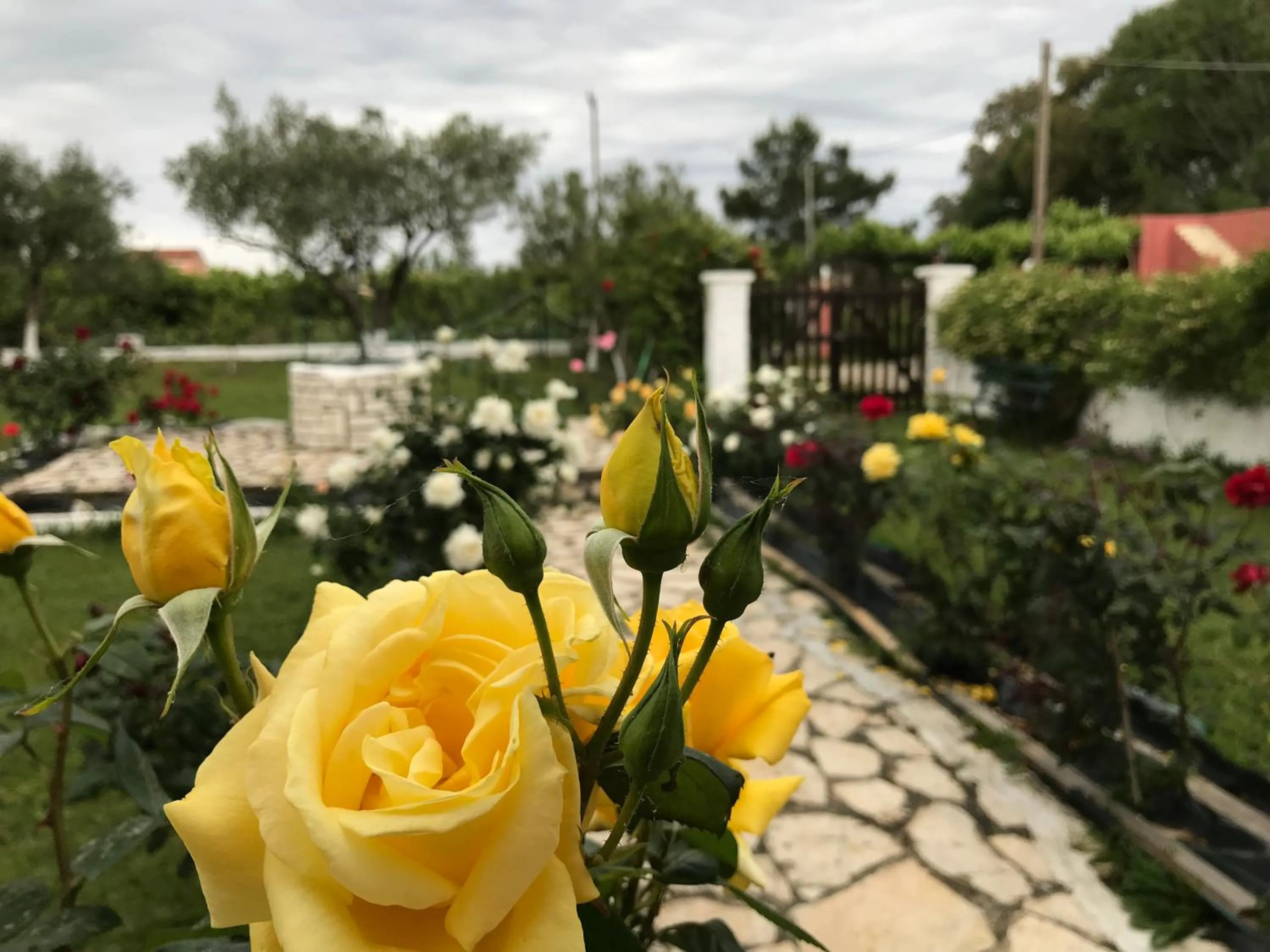 Yiouli Holiday Home