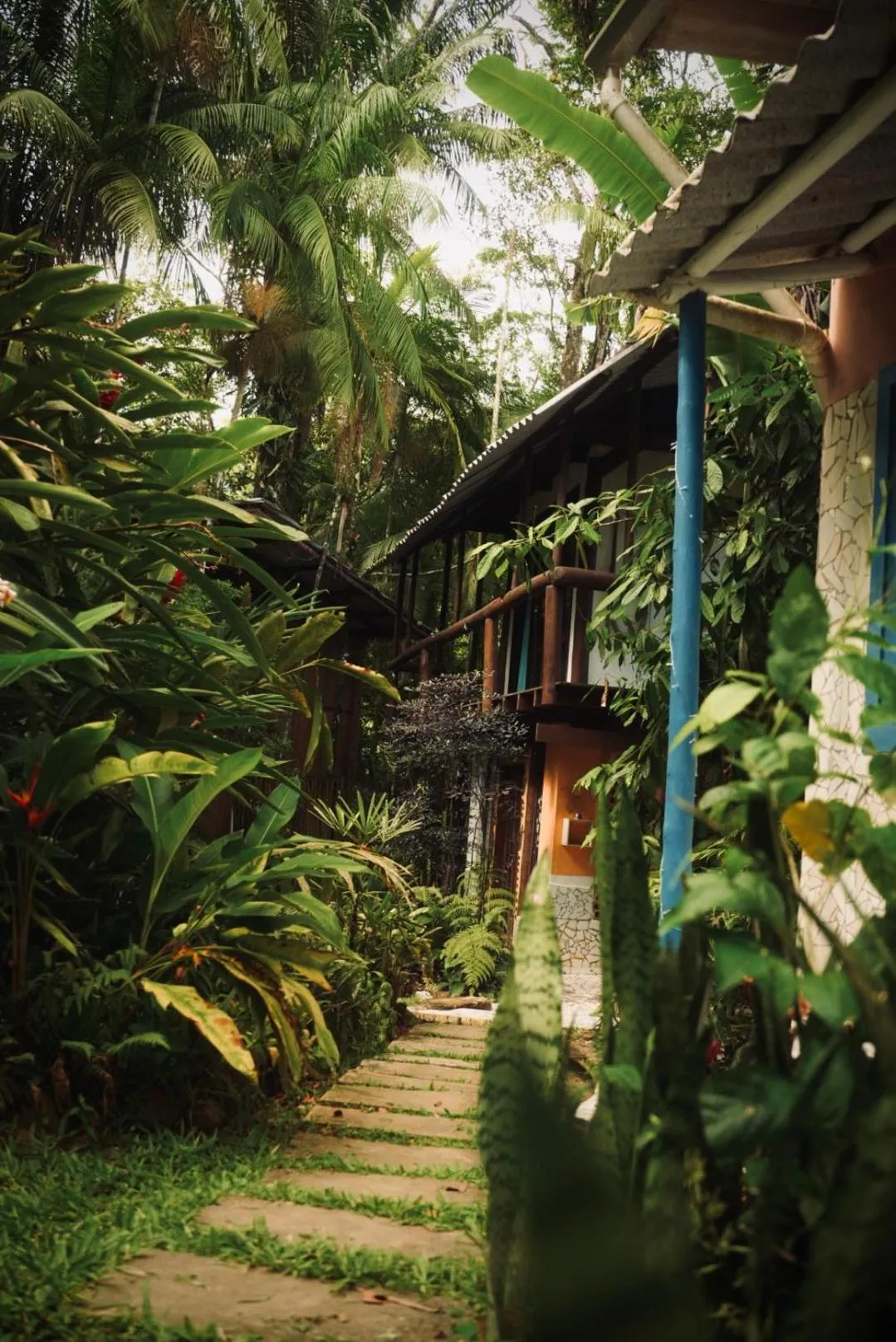 Junior Suite with Garden View - single occupancy in Hogar na mata
