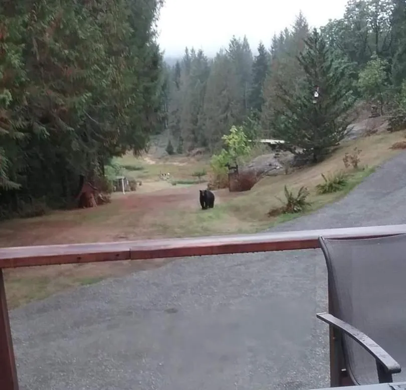 Beaver Hut Bed And Breakfast