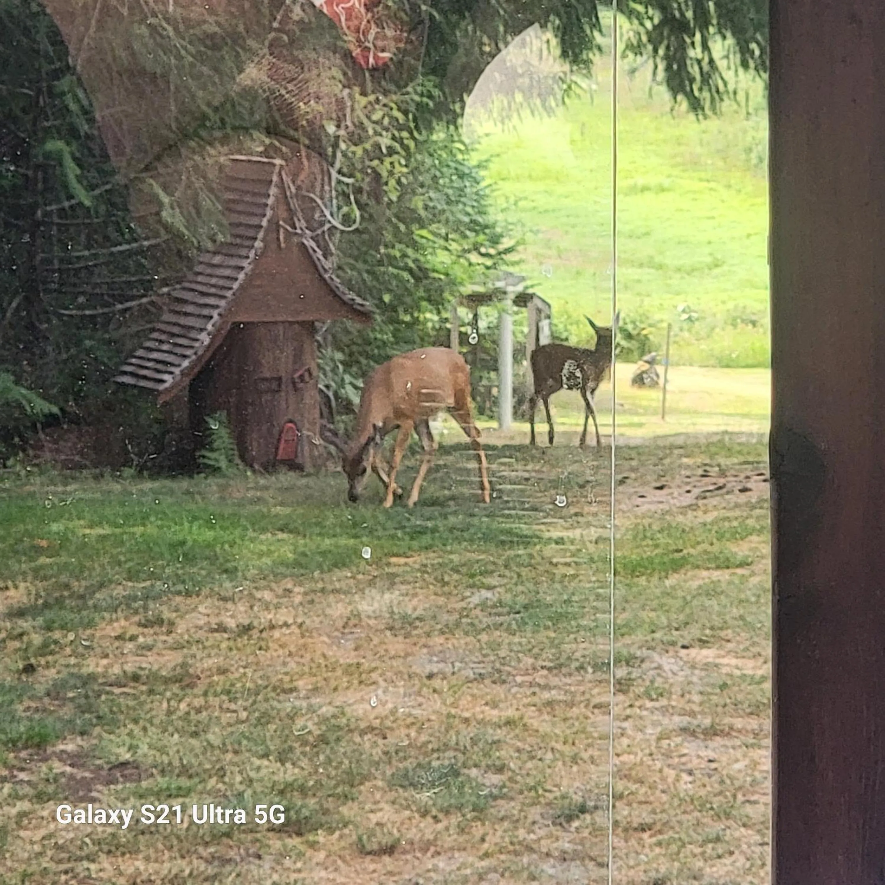 Beaver Hut Bed And Breakfast