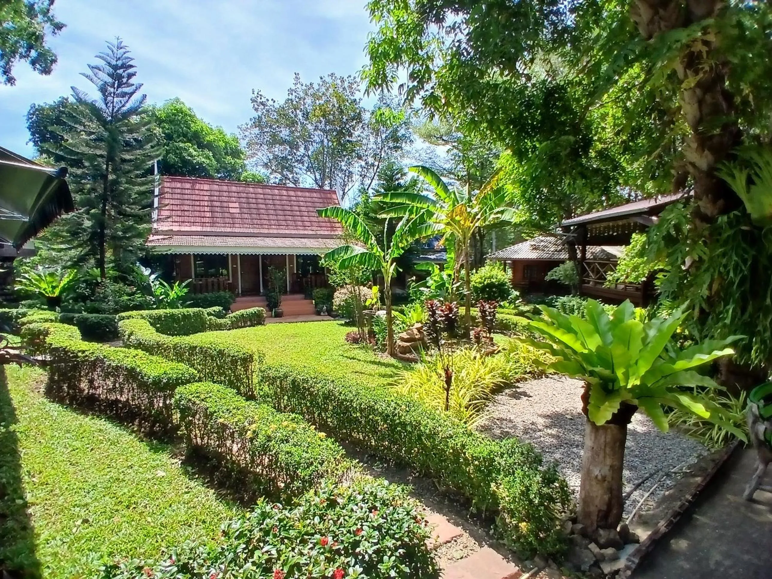 Garden in Macura Resort