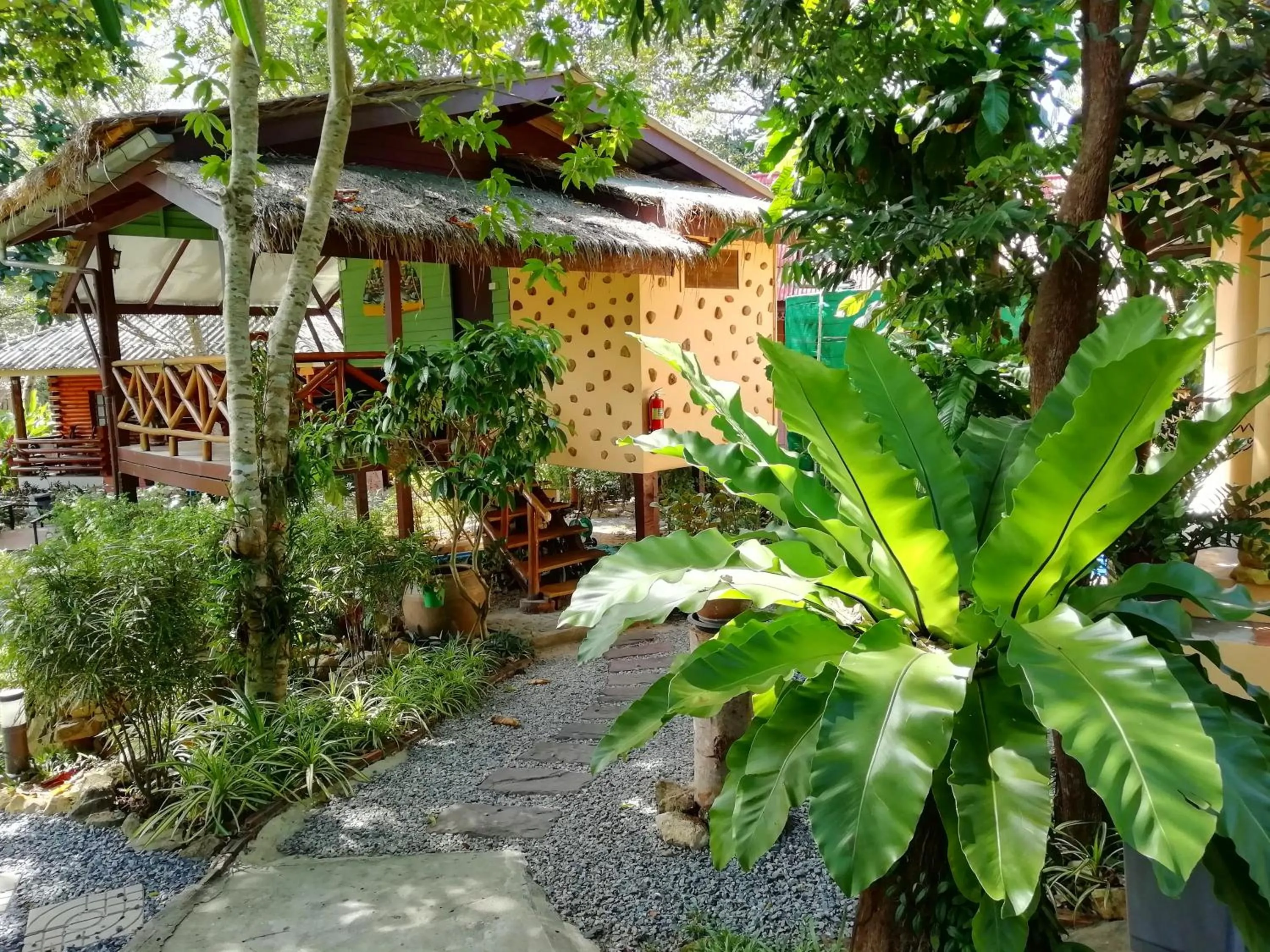 Garden in Macura Resort