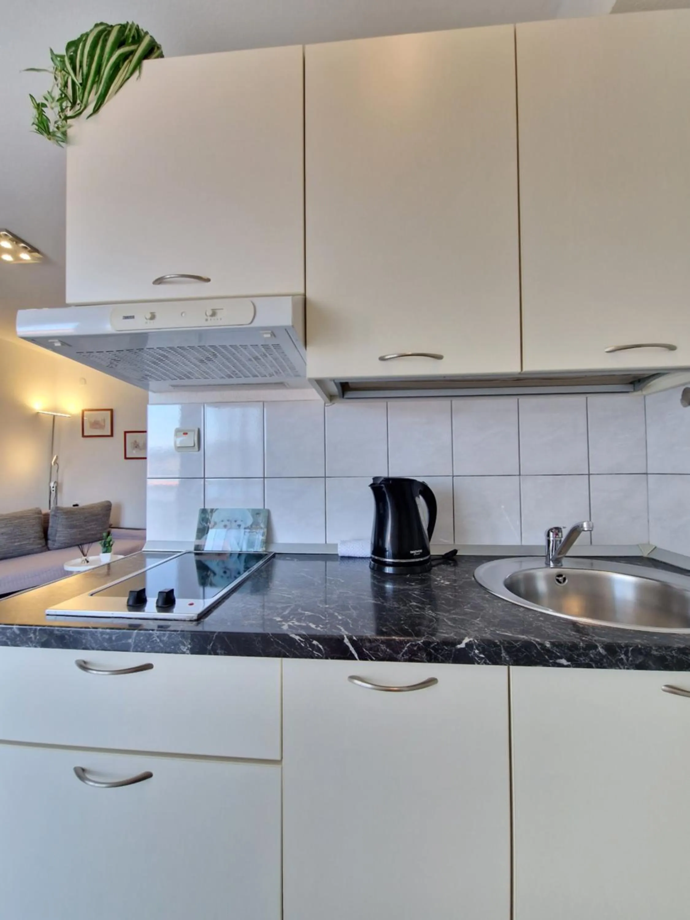 Apartments Silva with a view of sea