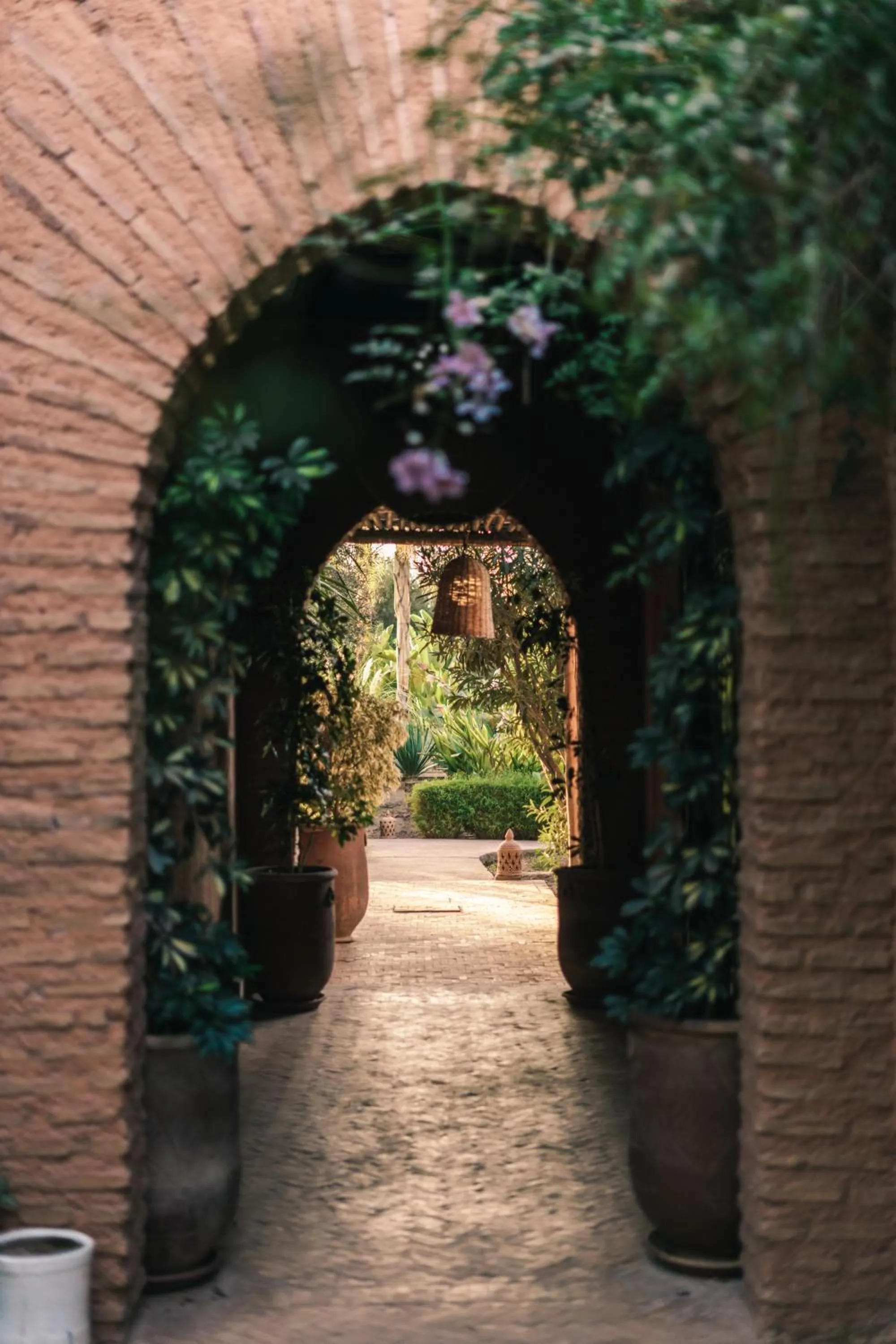 Garden in The Source Hotel Music & Spa